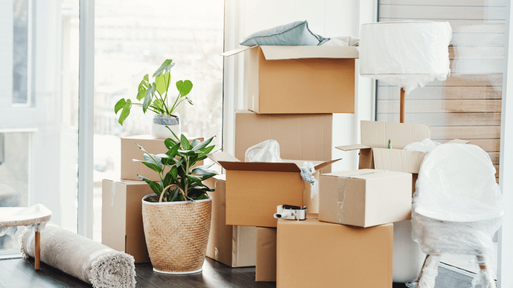 Moving boxes stacked in a room, with a potted plant, a rolled rug, and a wrapped chair.