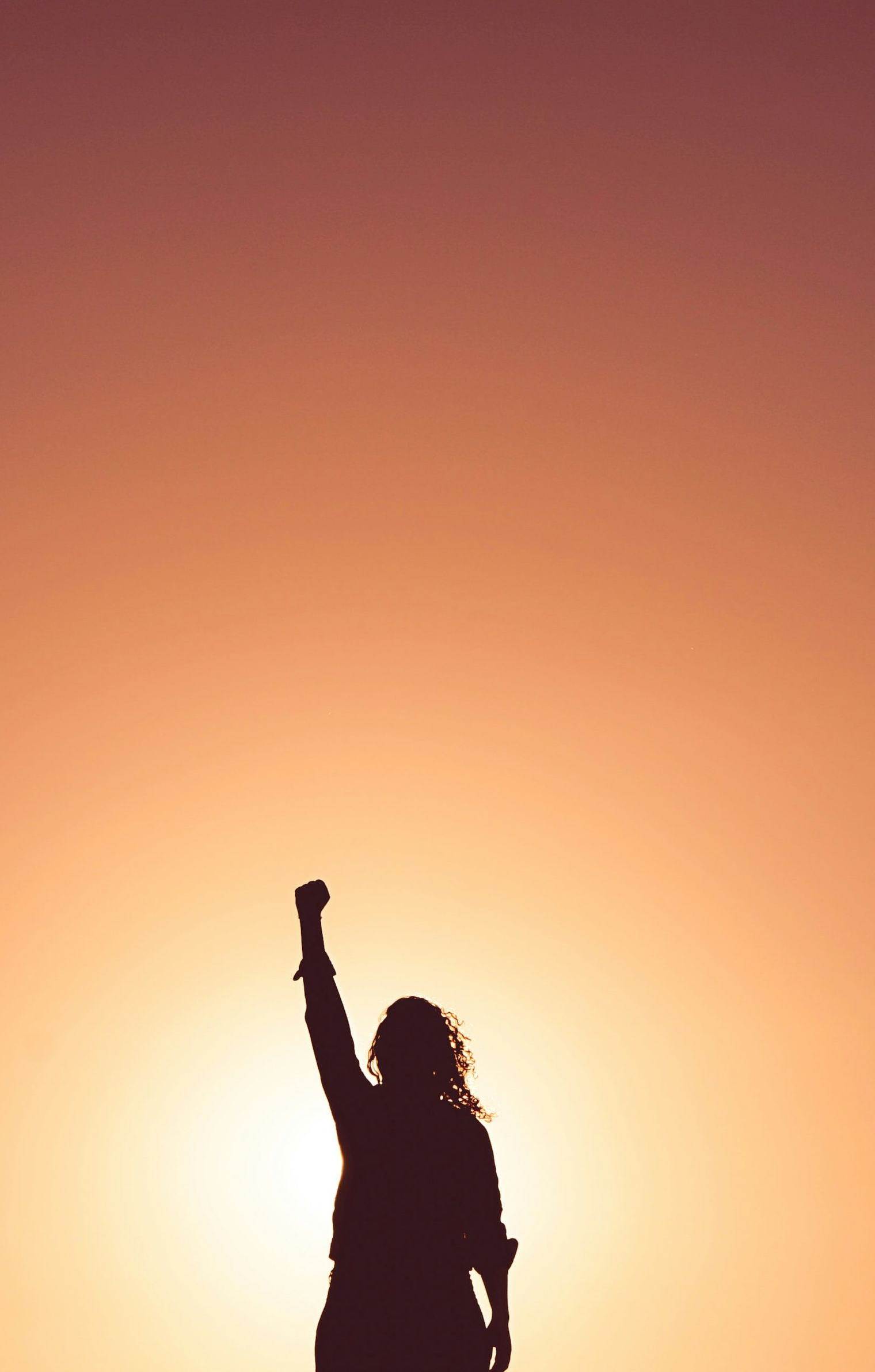 Silhouette of a person with a raised fist against a warm sunset.
