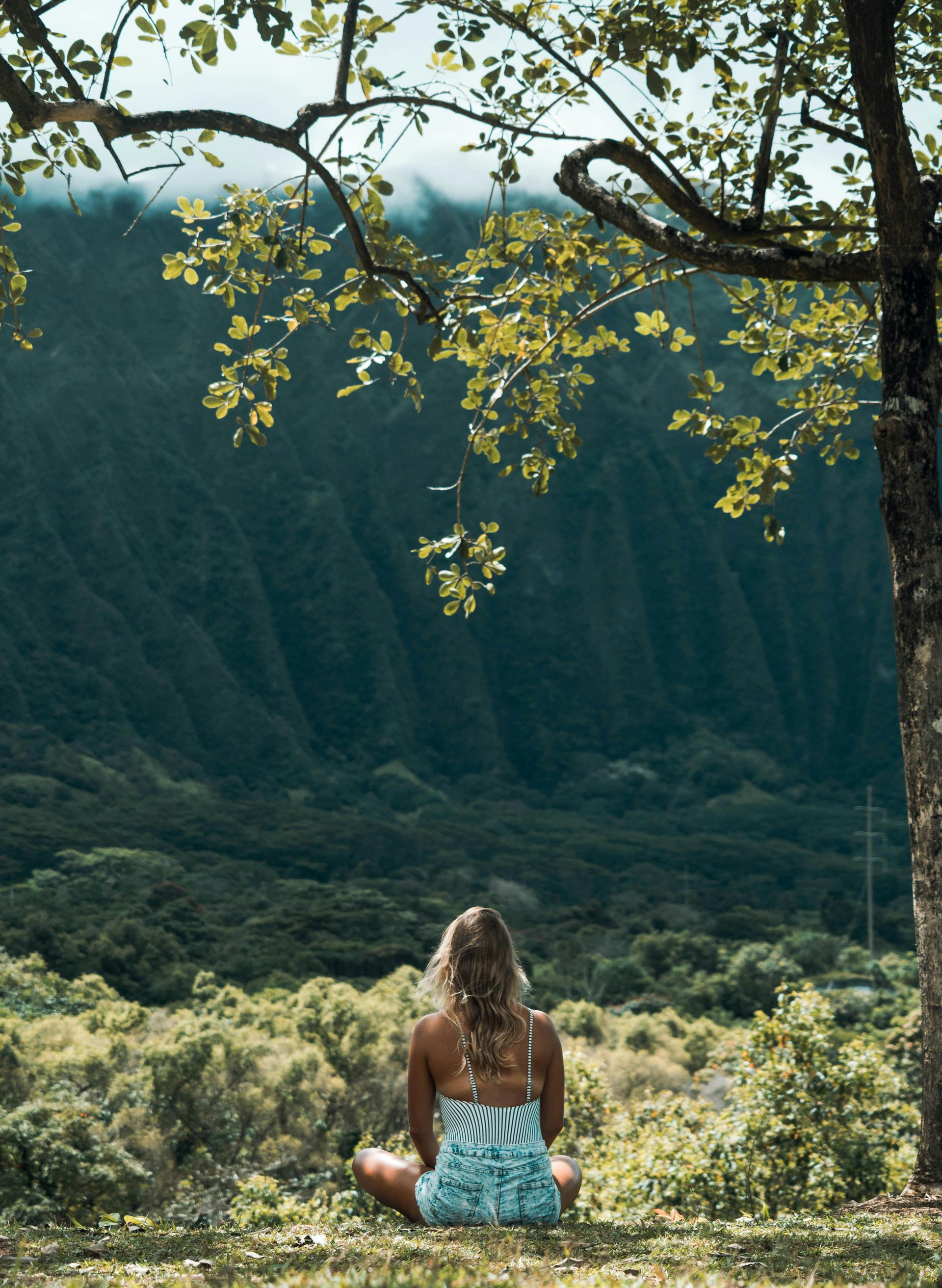 Woman sitting cross-legged, facing a lush valley, beneath a tree.