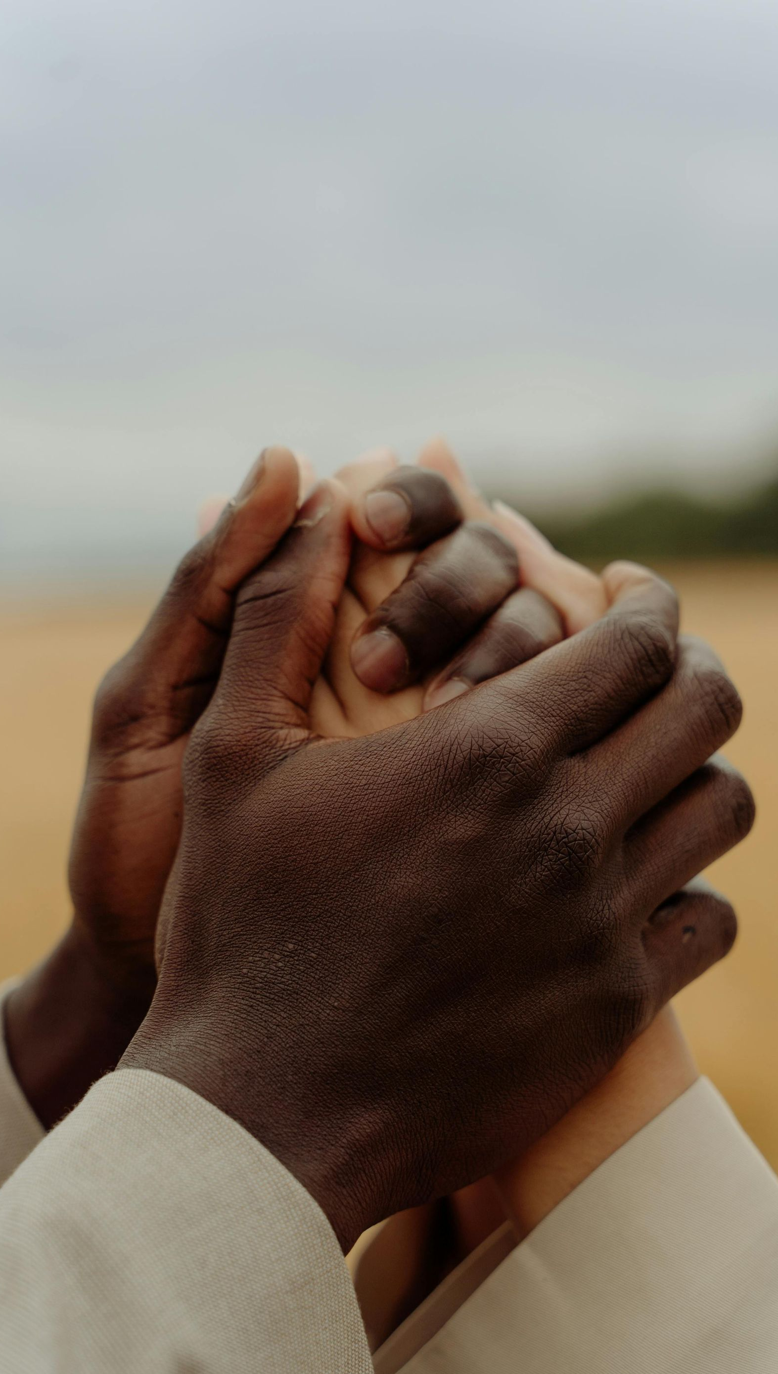 Two sets of hands, one dark-skinned and one light-skinned, clasped together in solidarity, against a field backdrop.