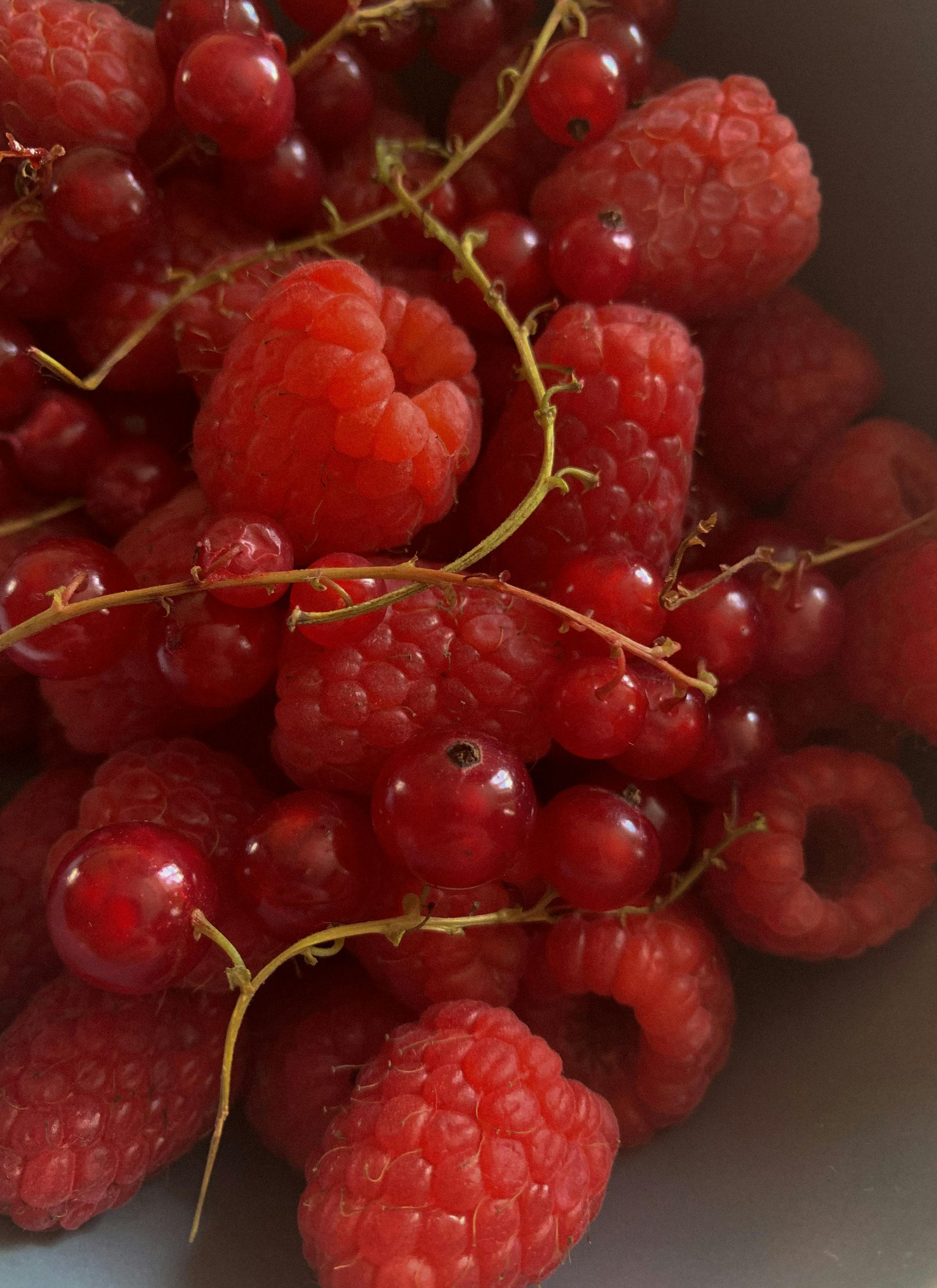 Close-up of red raspberries and red currants in a light-colored bowl.
