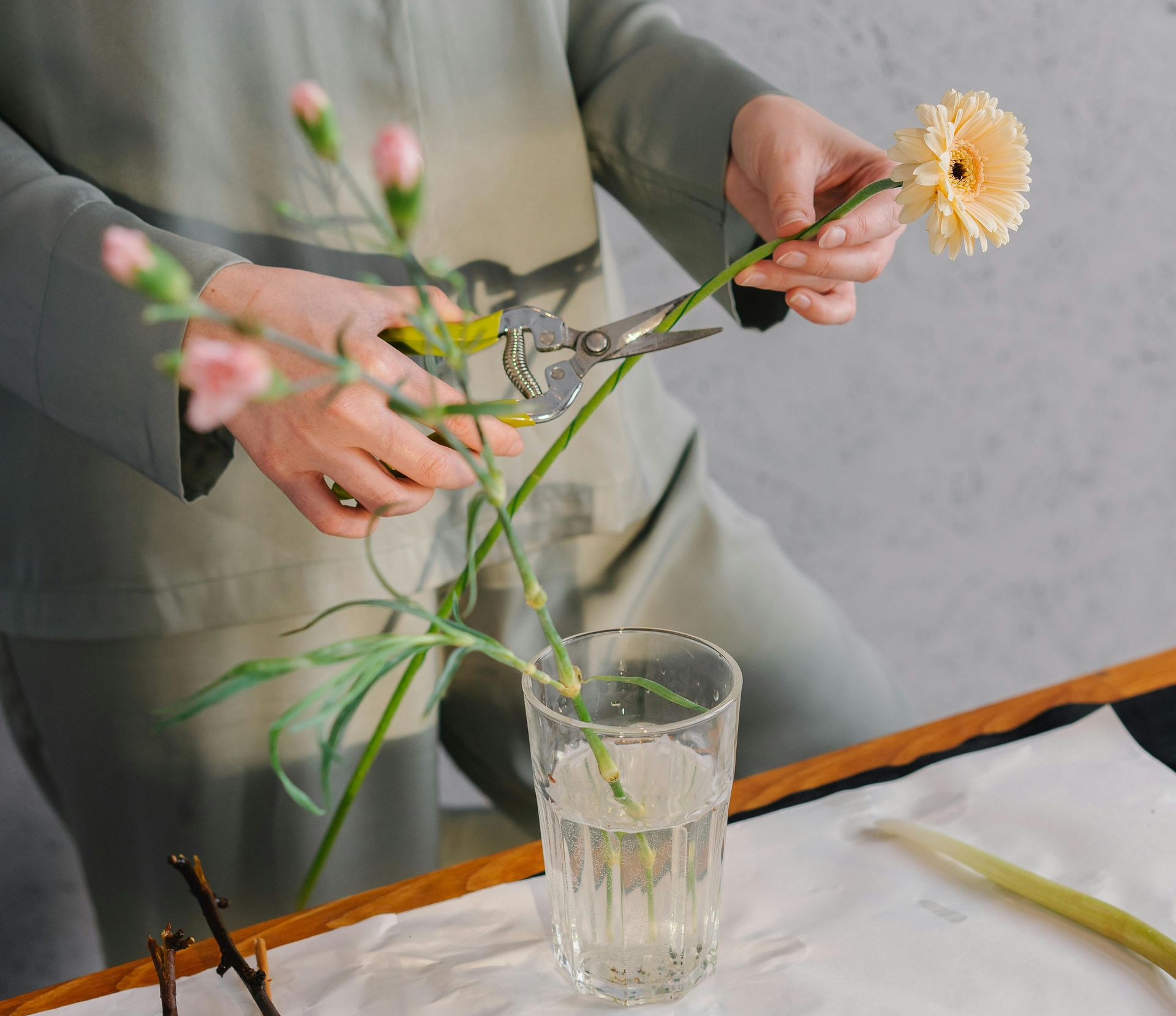 Person trimming a yellow gerbera daisy with pruning shears over a glass vase, indoors.