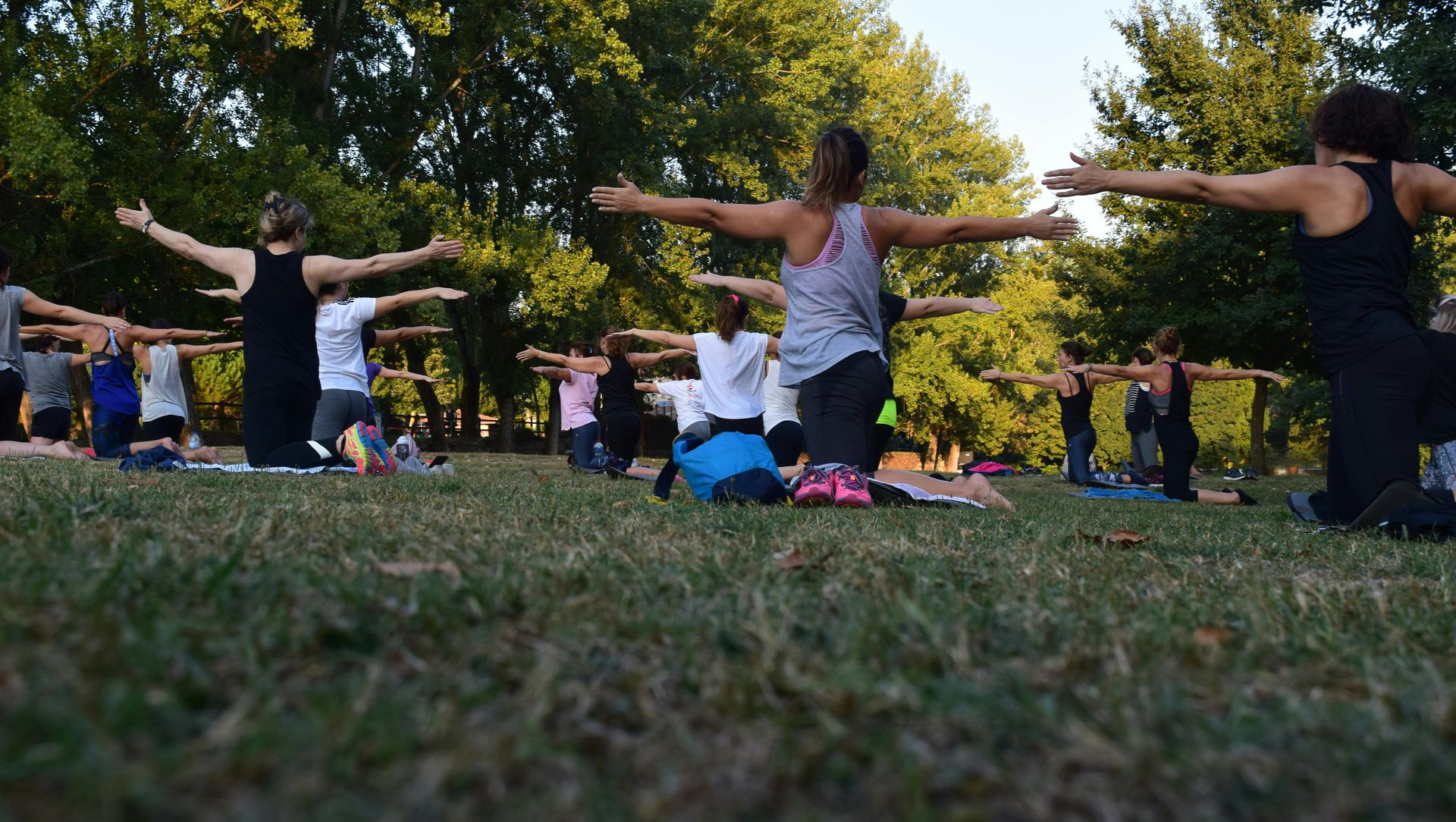 Group practicing yoga outdoors, arms extended, on mats in a grassy park, trees in background.