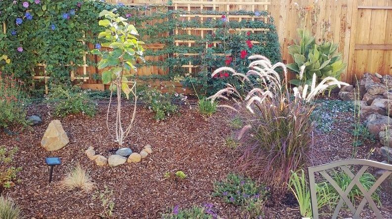 Planting
