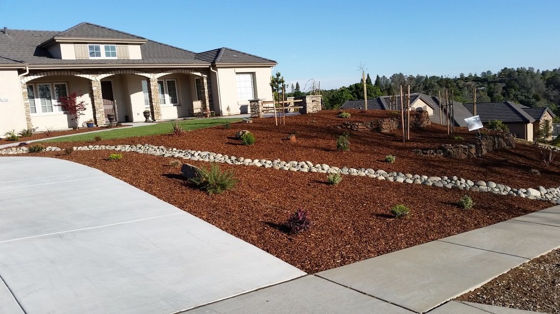 Water efficiency gardens