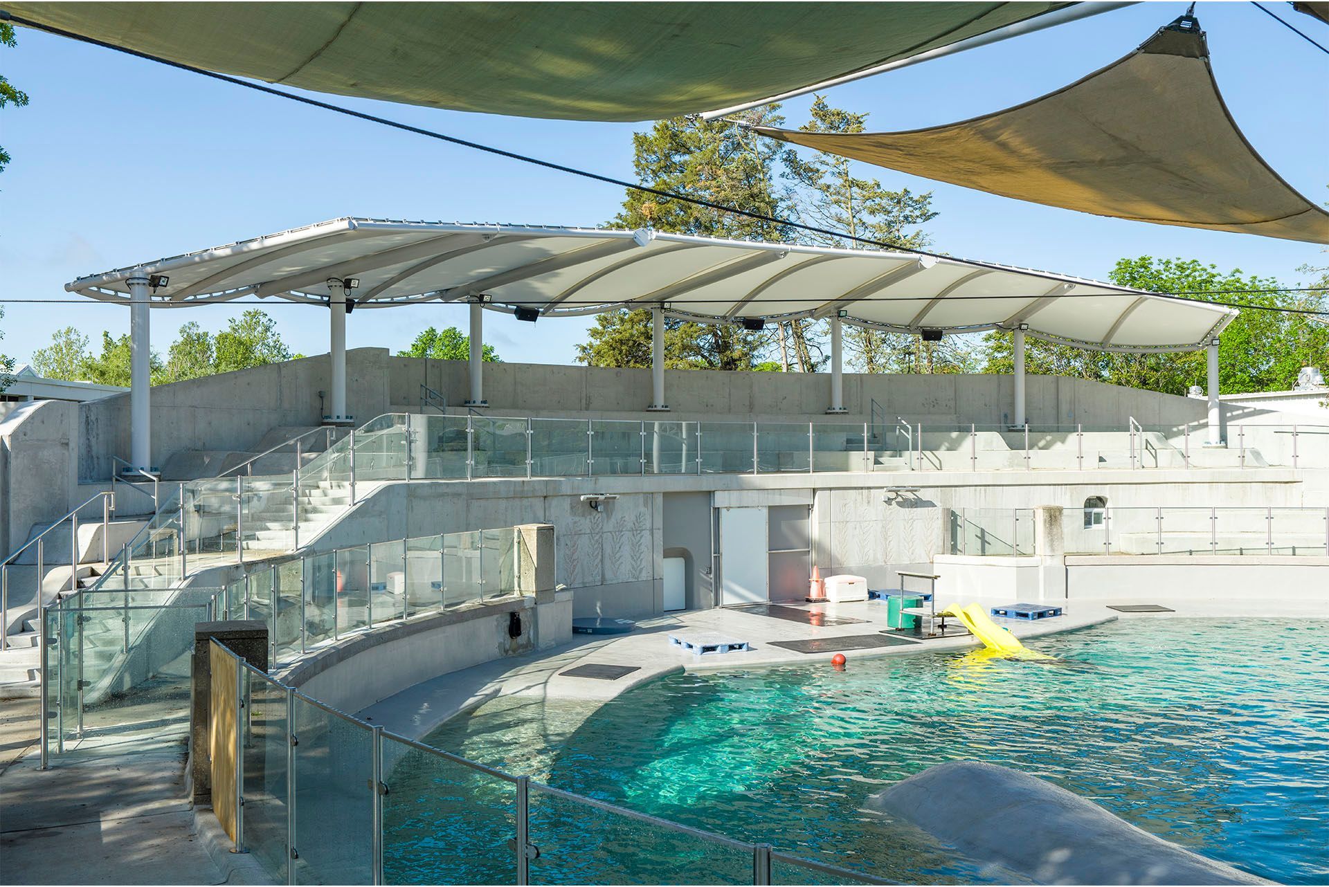 A pool with a large umbrella over it and  custom glass and fabricated railings