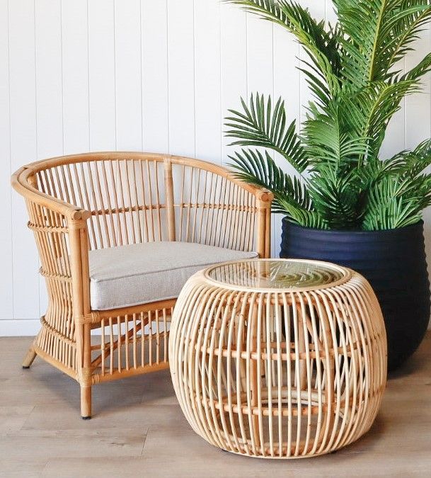 Rattan Chair and Side Table with Potted Palm — Tropic Living in Palm Cove, QLD