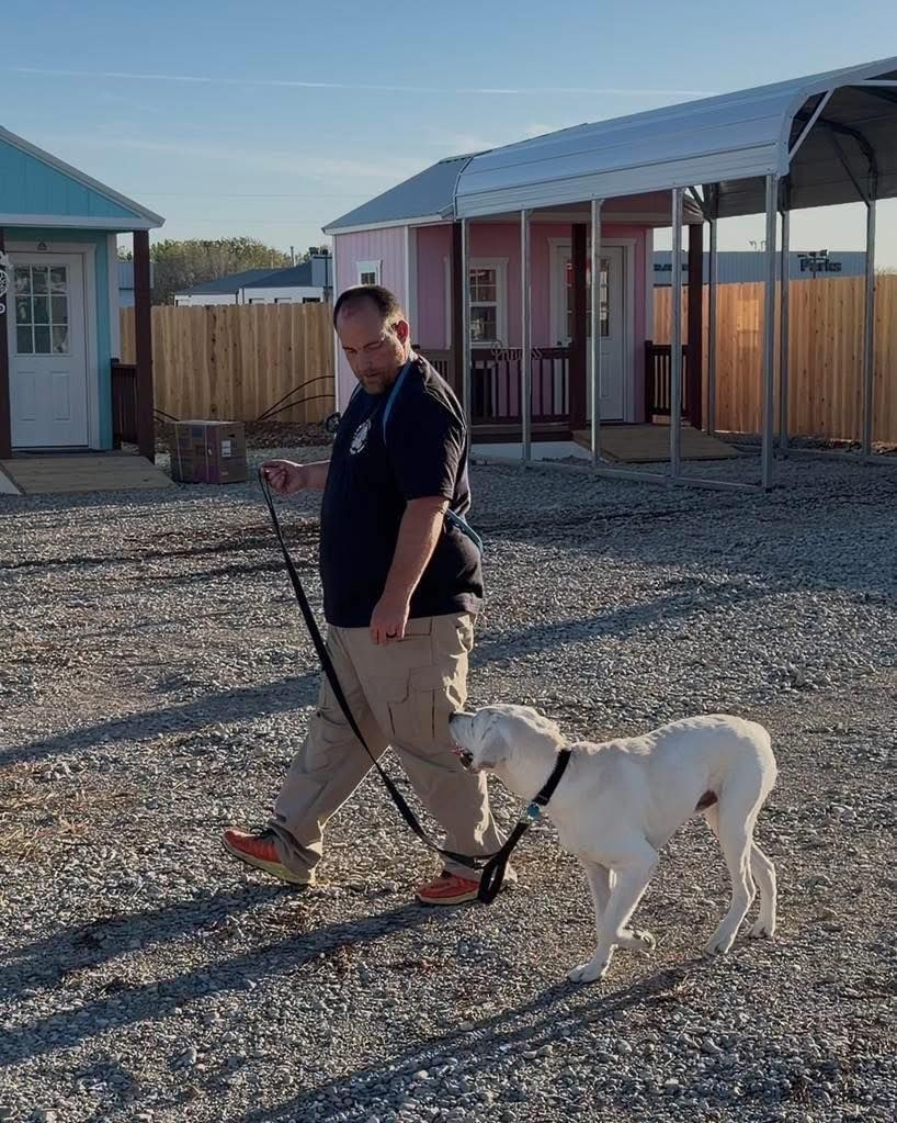 Board & Train  Dog Programs in Andover, KS