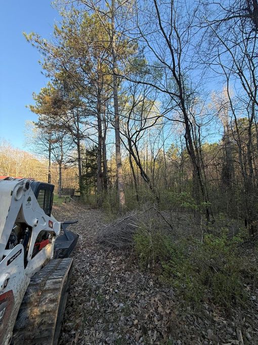 A white skid steer loader parked on a leaf-covered forest path surrounded by trees under a clear blue sky.