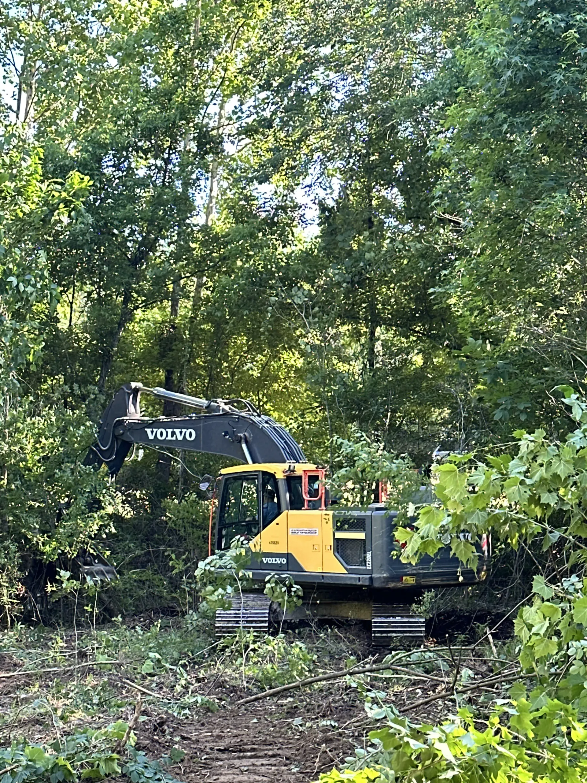 A yellow and grey Volvo excavator clears trees and brush in a wooded area.
