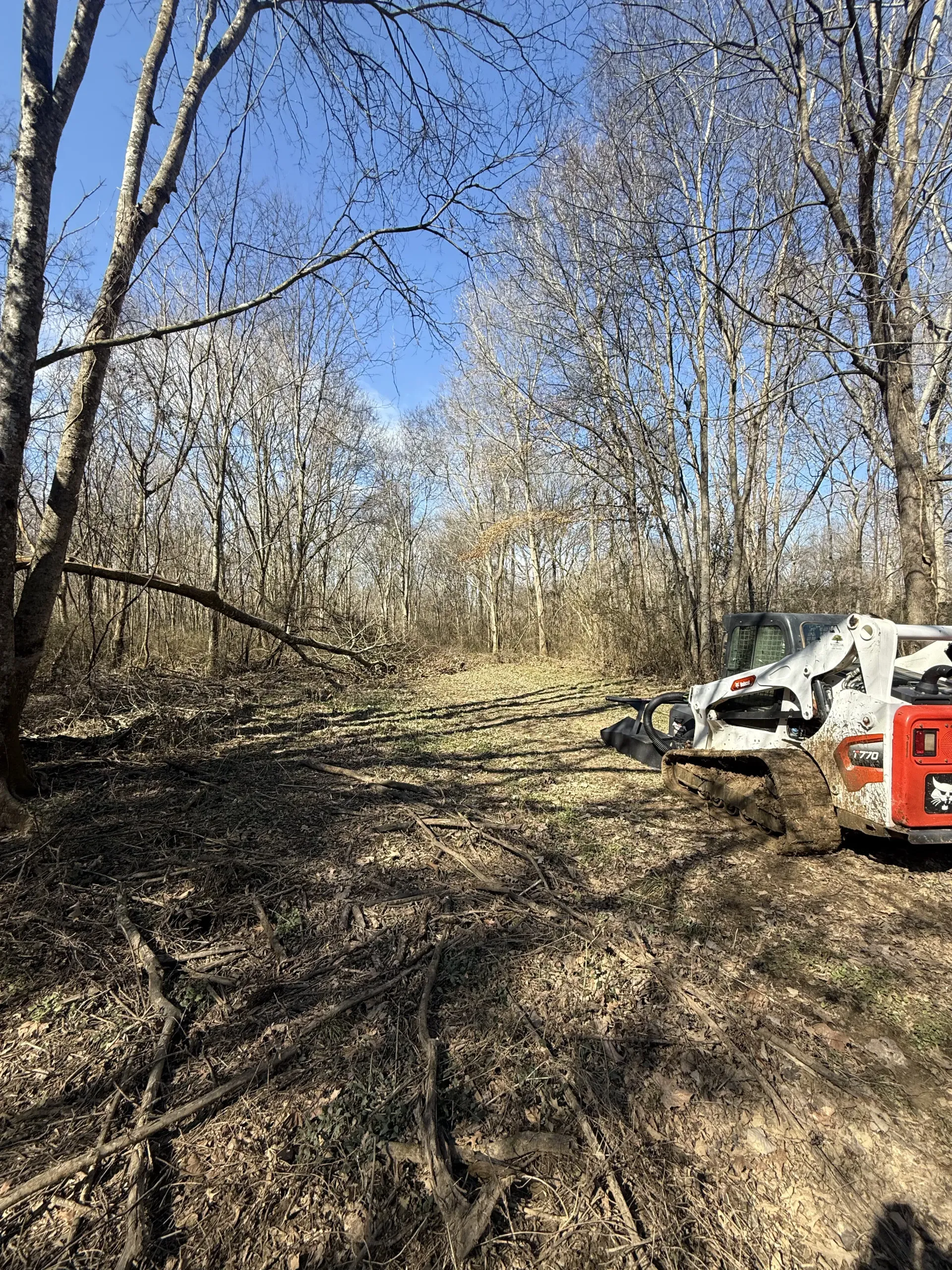 A white and red Bobcat skid-steer loader parked in a wooded area with cleared brush on a sunny day.