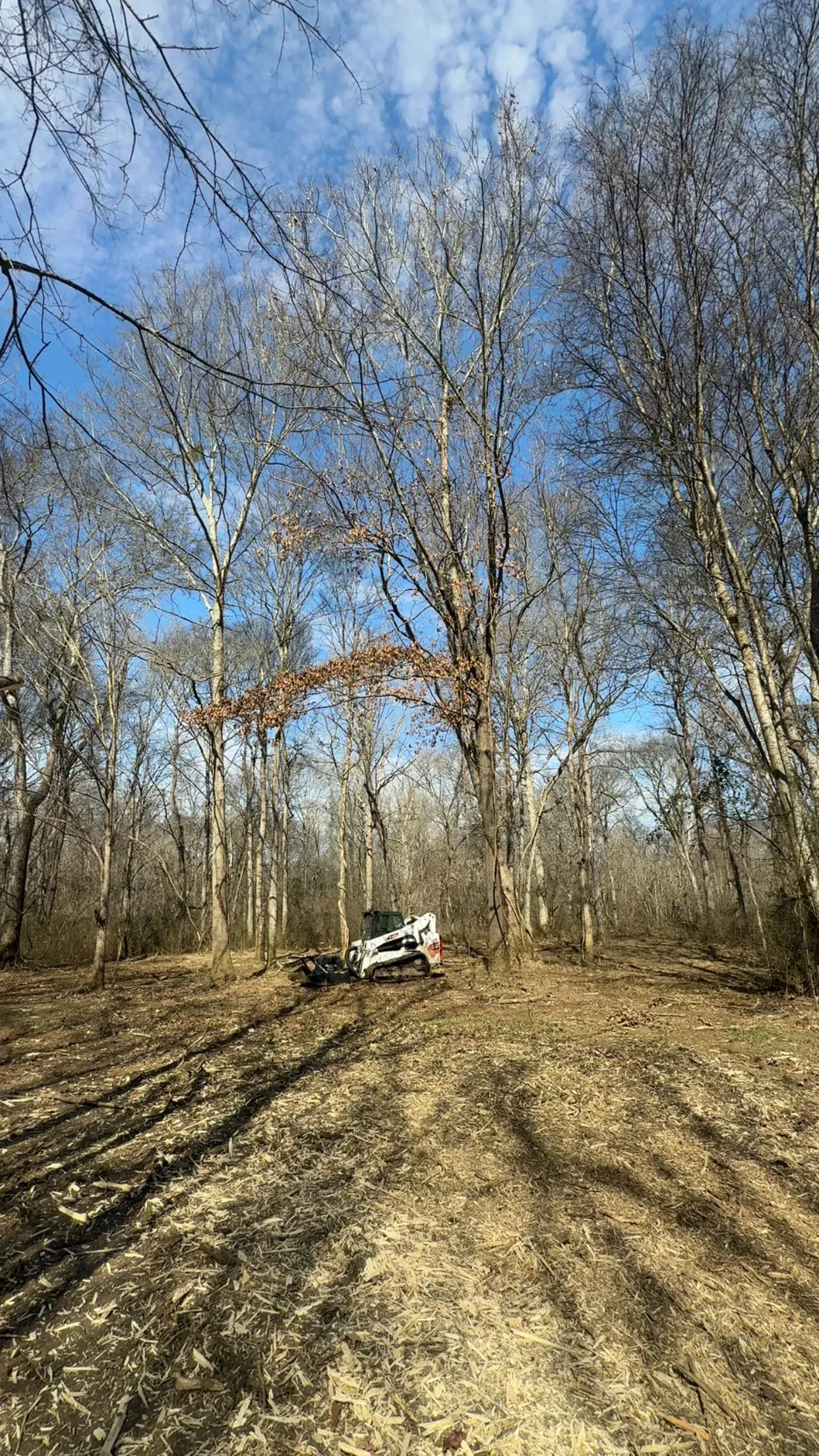 A white skid steer loader parked in a clearing in a wooded forest under a blue sky.