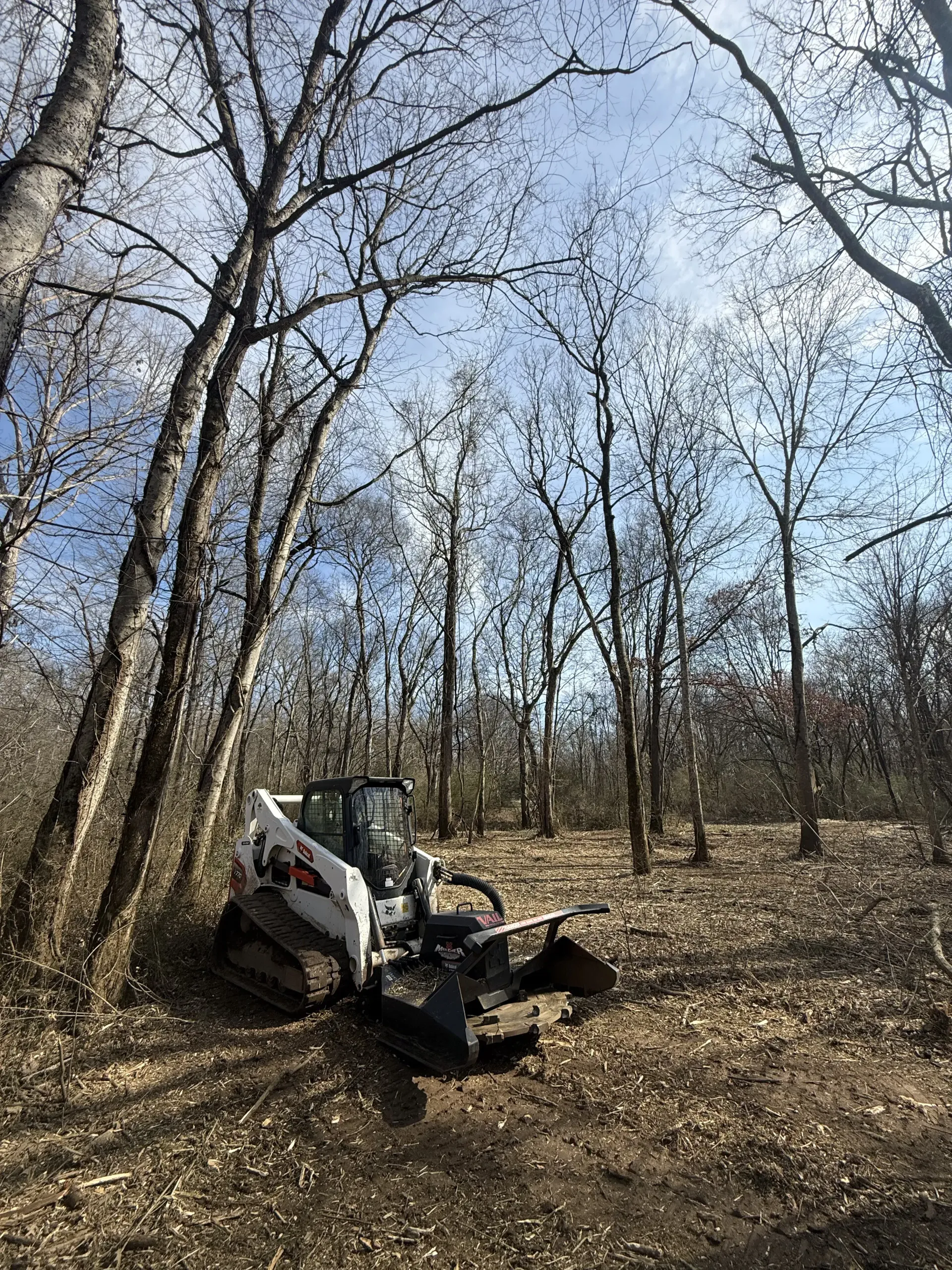 A white Bobcat skid-steer loader with a forestry mulcher attachment parked in a sunlit, wooded area with bare trees.