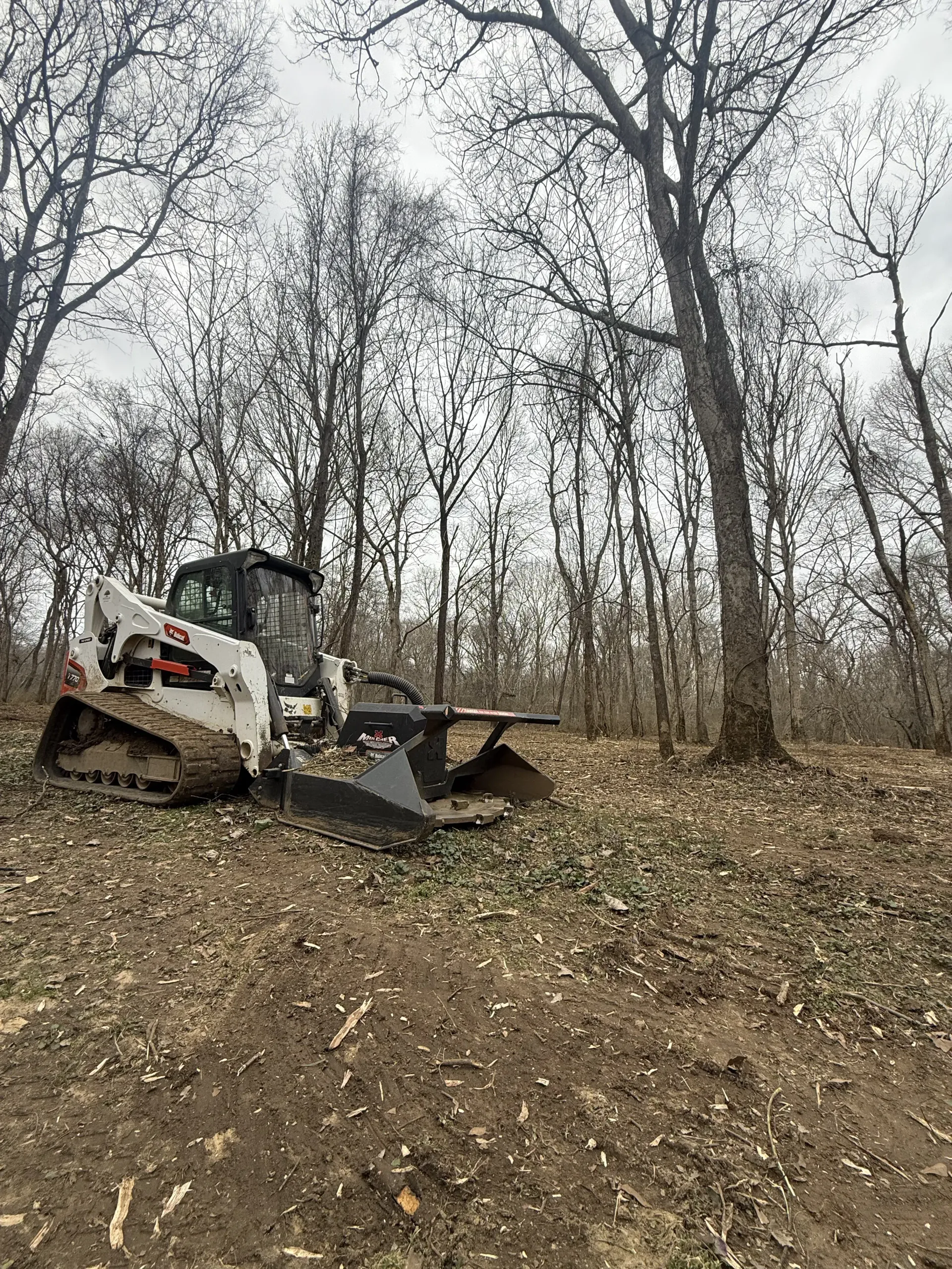 A white Bobcat compact track loader with a tree shear attachment clears brush in a wooded area.