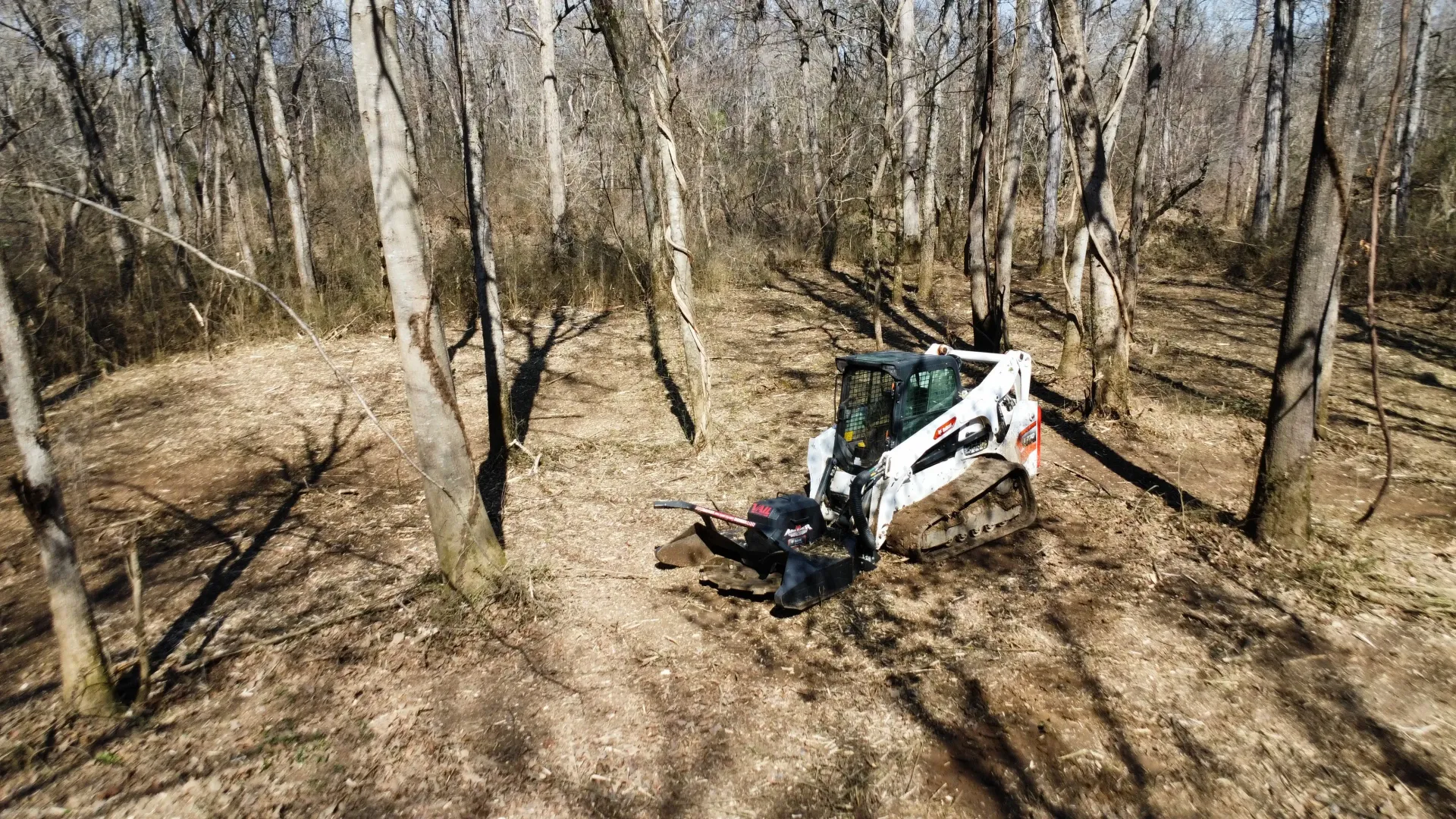 A white Bobcat compact track loader clears brush in a sparse, sunlit wooded area.