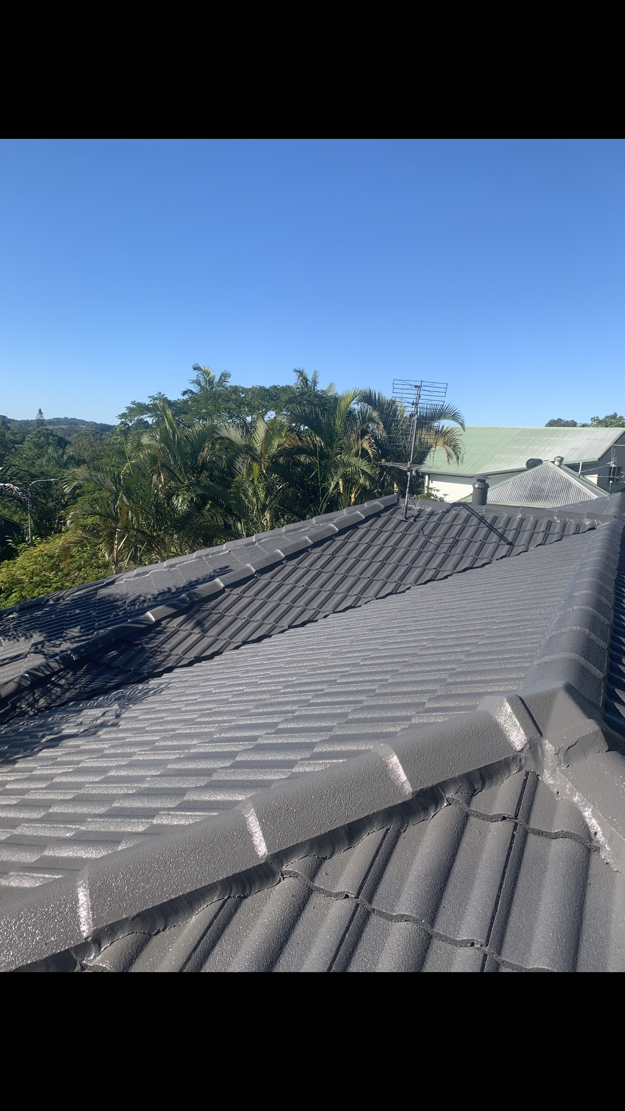 A roof with a blue sky in the background and trees in the foreground.
