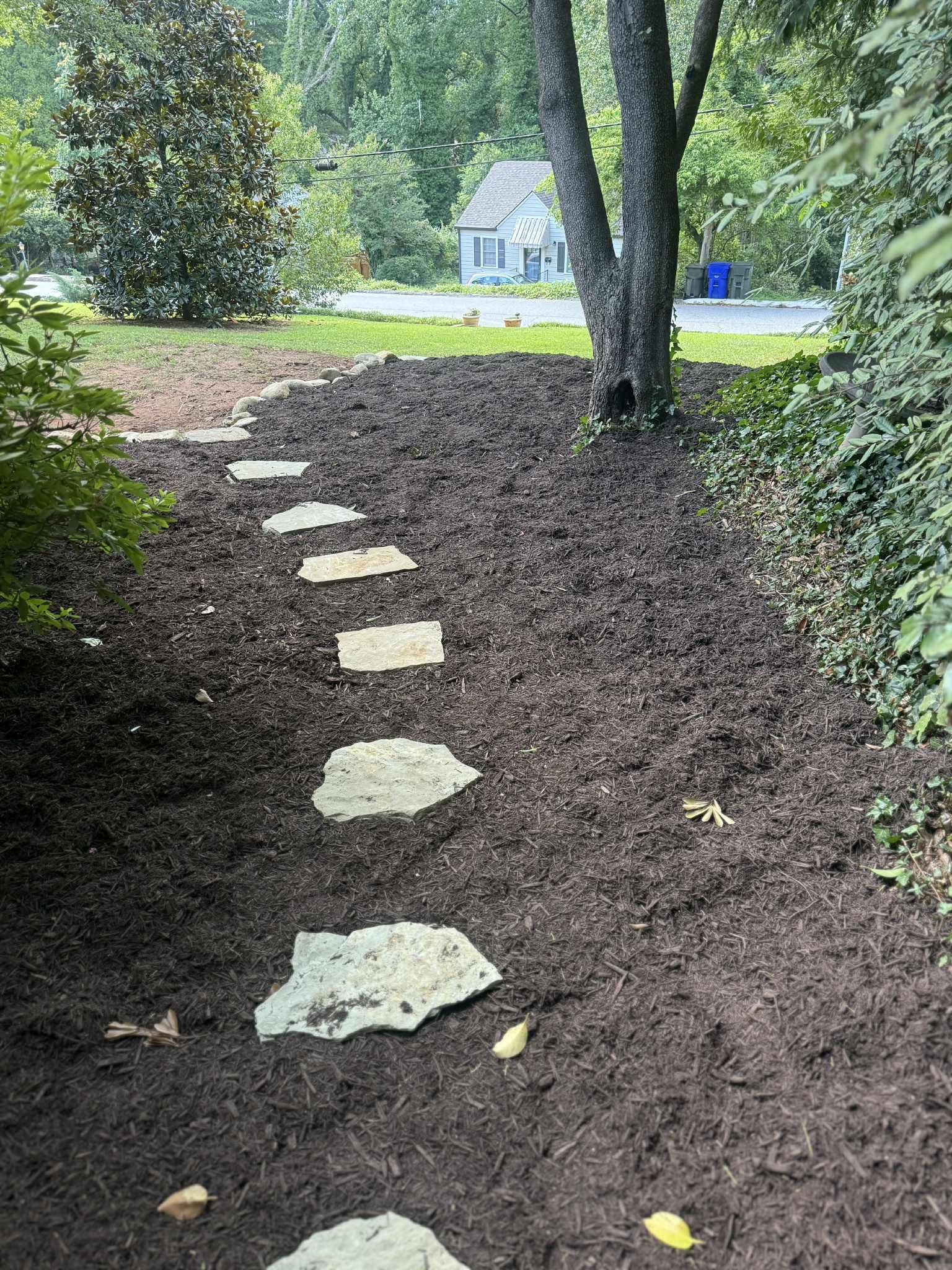 Stepping stones through mulched garden bed, leading toward a house.