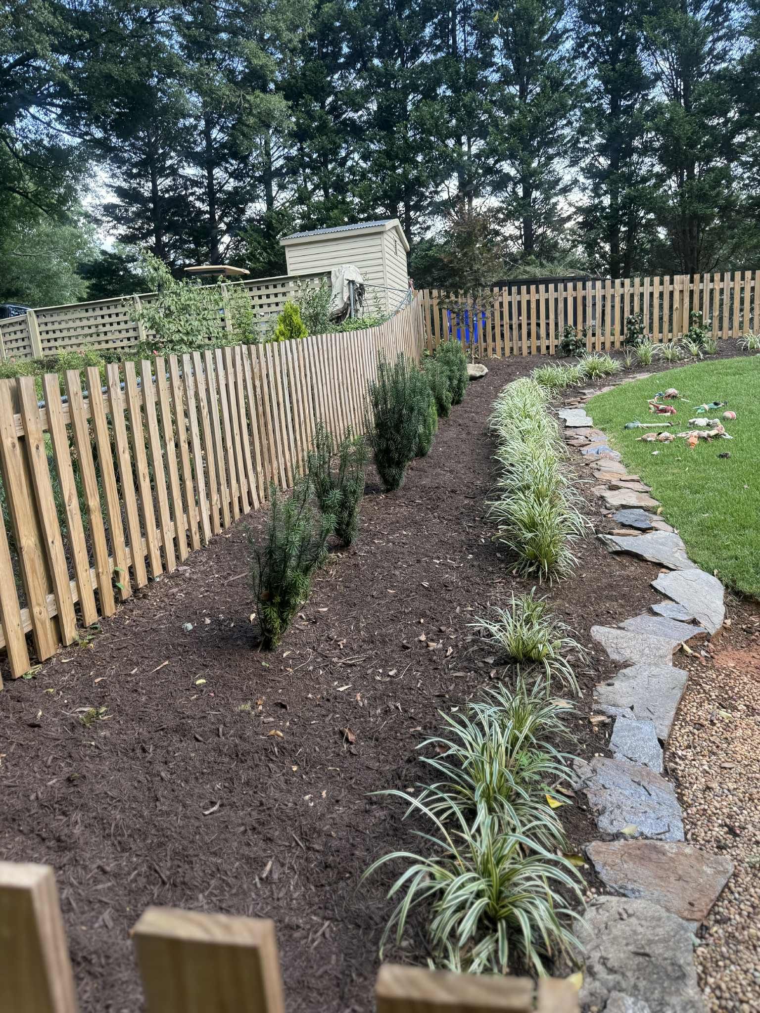 Garden bed with new plantings, mulch, and a wooden fence.