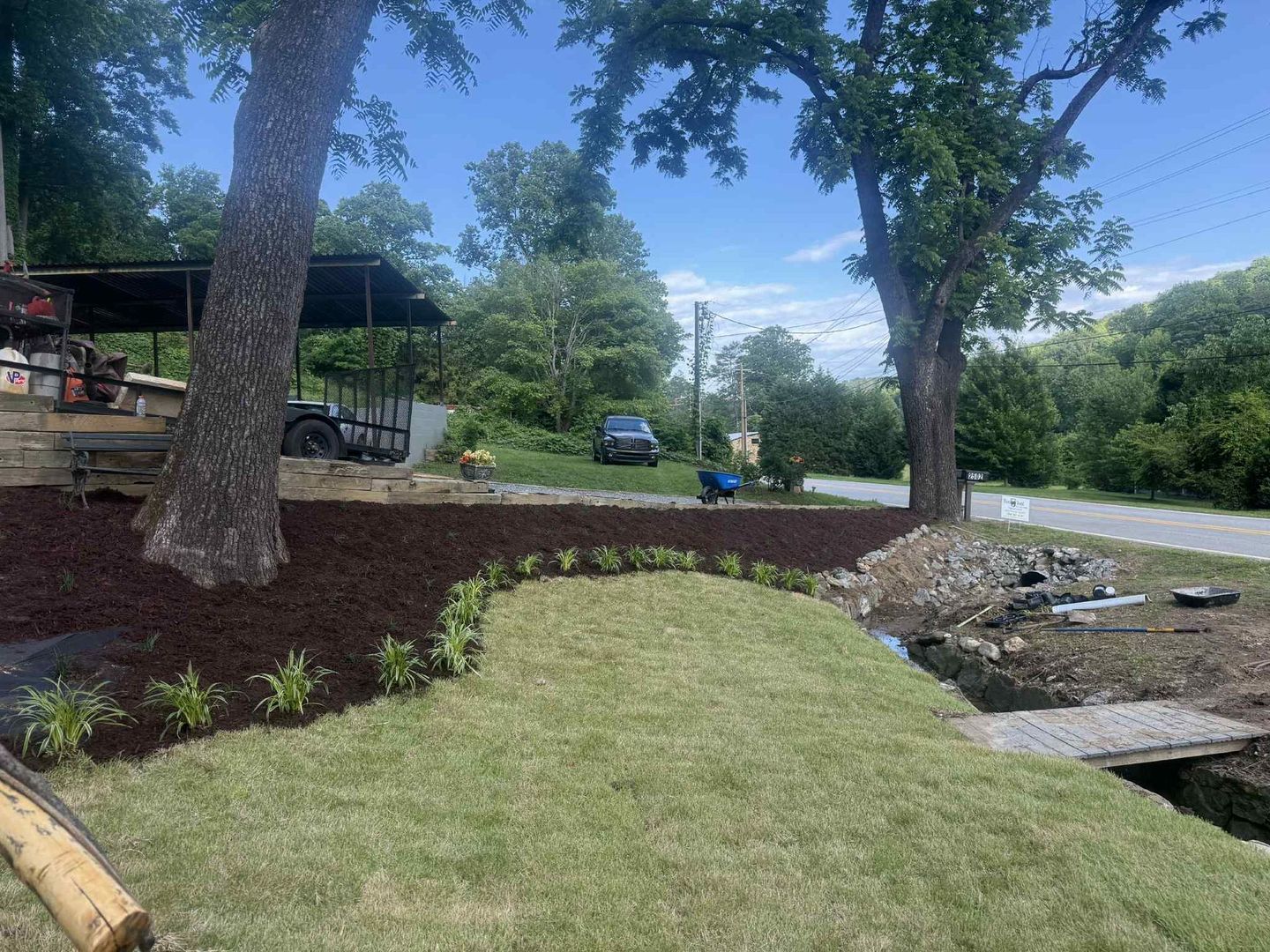 Landscaped yard with new sod, mulch, and small plants bordering grass, with trees.