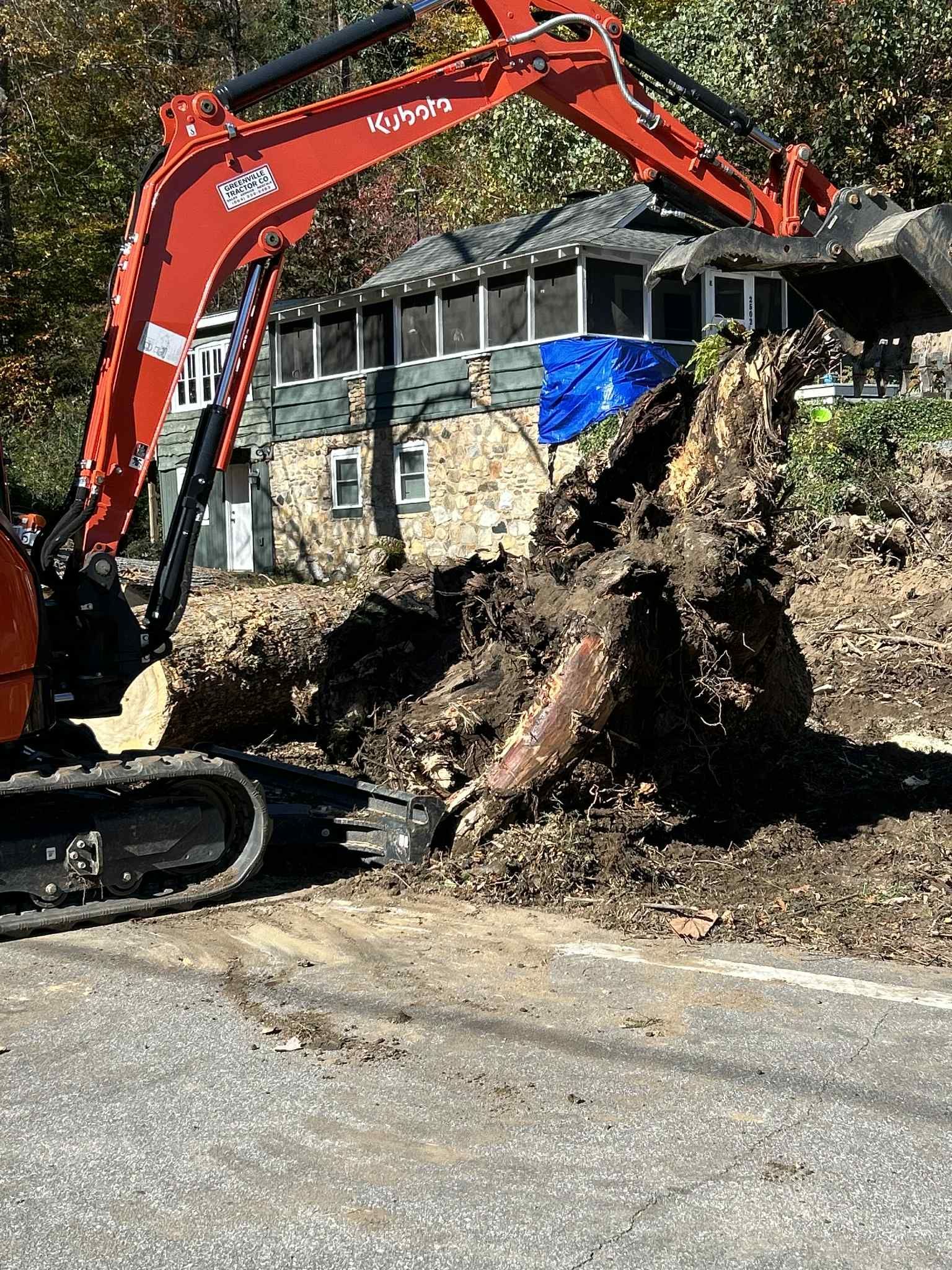 An excavator removes a tree stump from a roadside, with a house in the background.