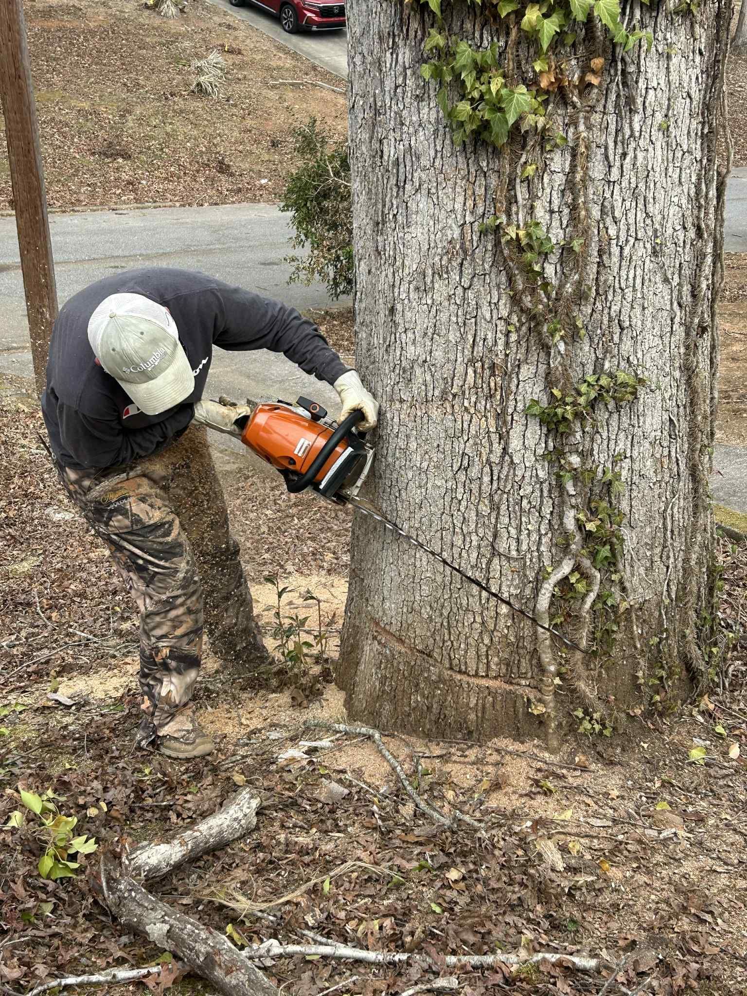 Person cutting a tree trunk with a chainsaw; outdoors.