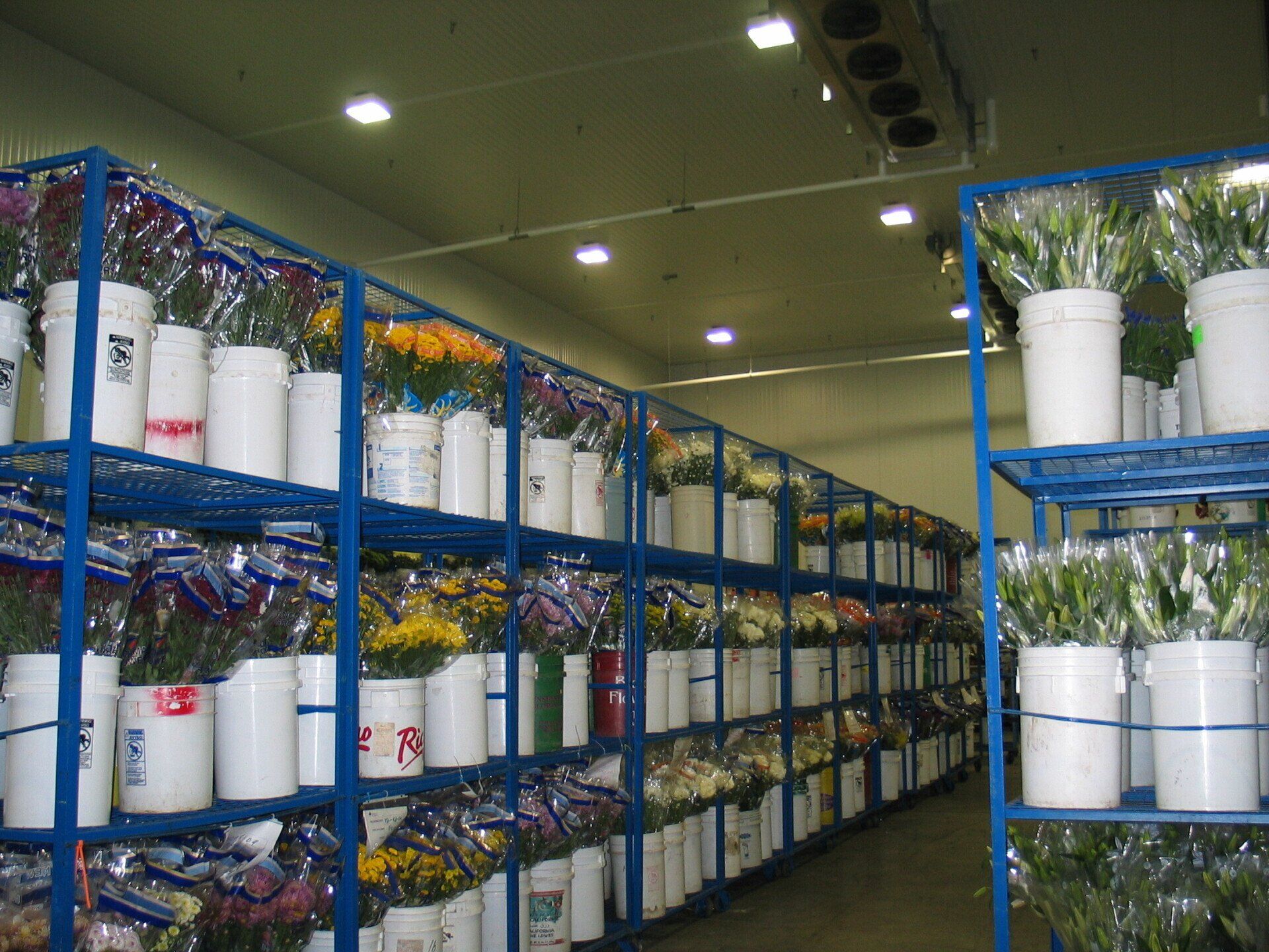 Flower Storage and Production Coolers