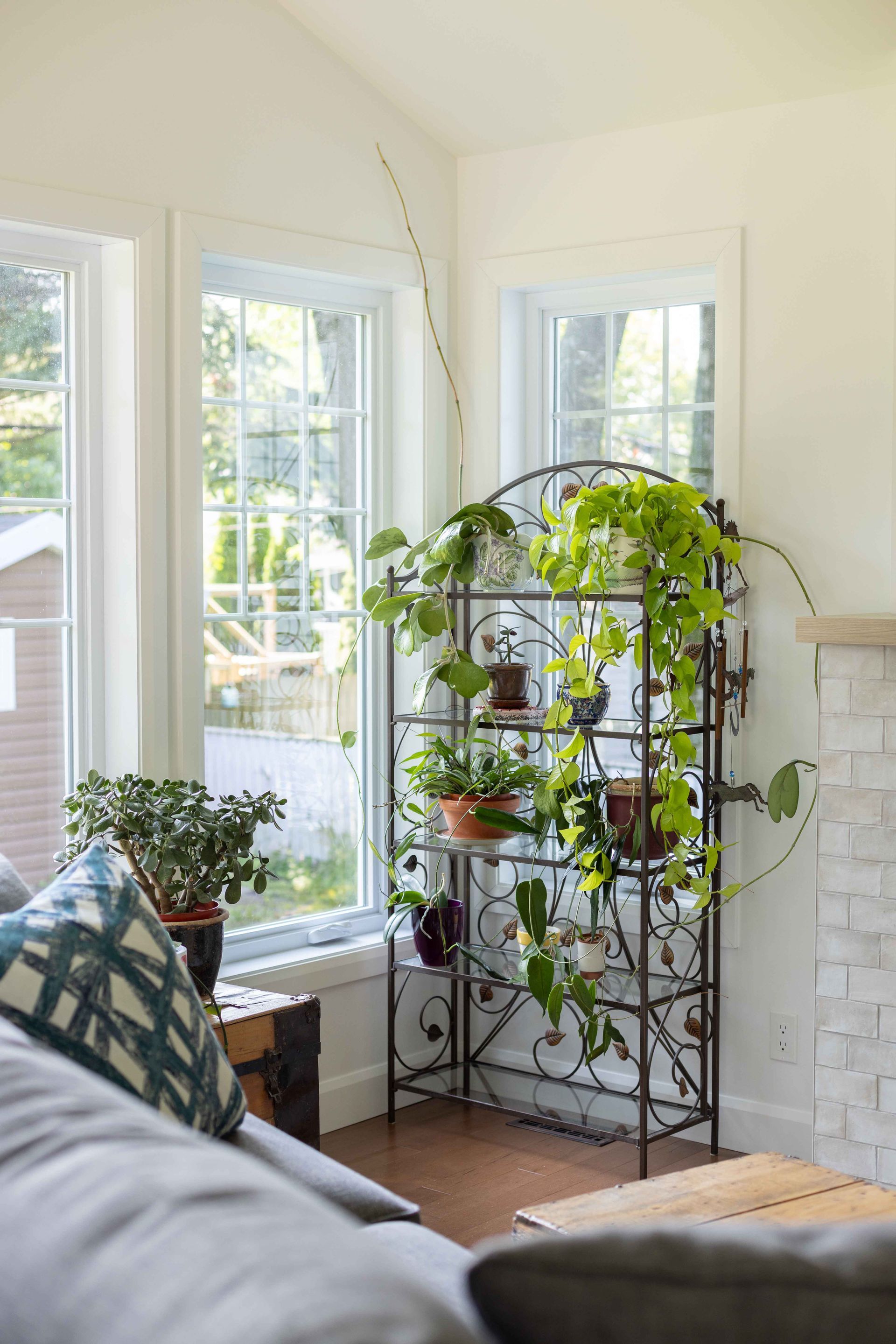 Salon avec étagère à plantes près des fenêtres ; plantes vertes, couleurs neutres.