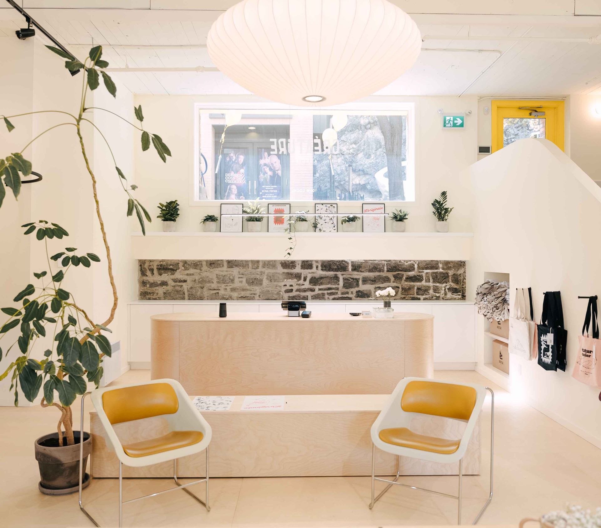 Intérieur lumineux d'un magasin avec deux chaises jaunes face à un bureau, un mur en pierre et une grande plante.