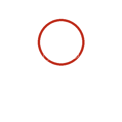 Red outlined circle on a white background