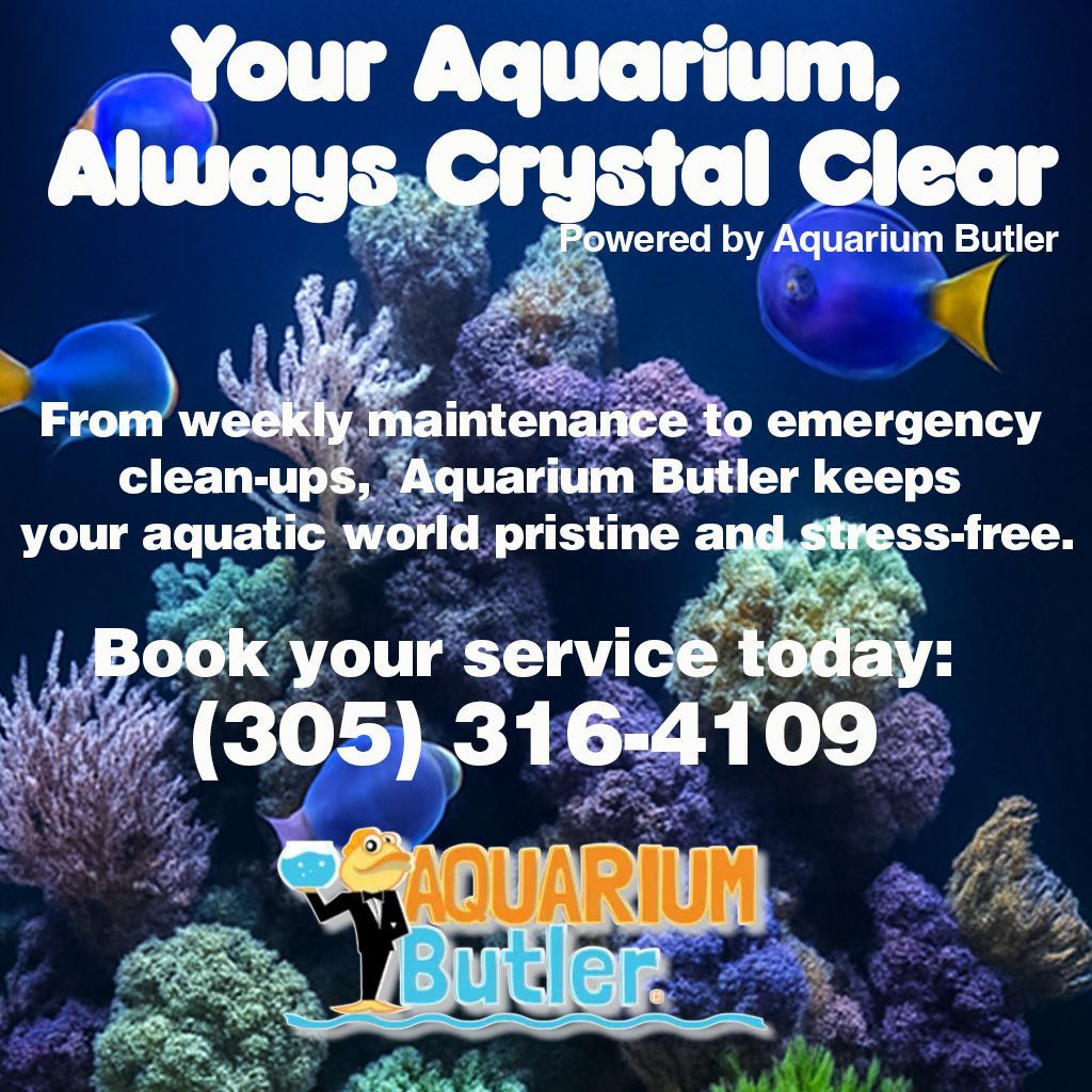 Advertisement for Aquarium Butler, featuring fish in an aquarium, promoting aquarium cleaning services.