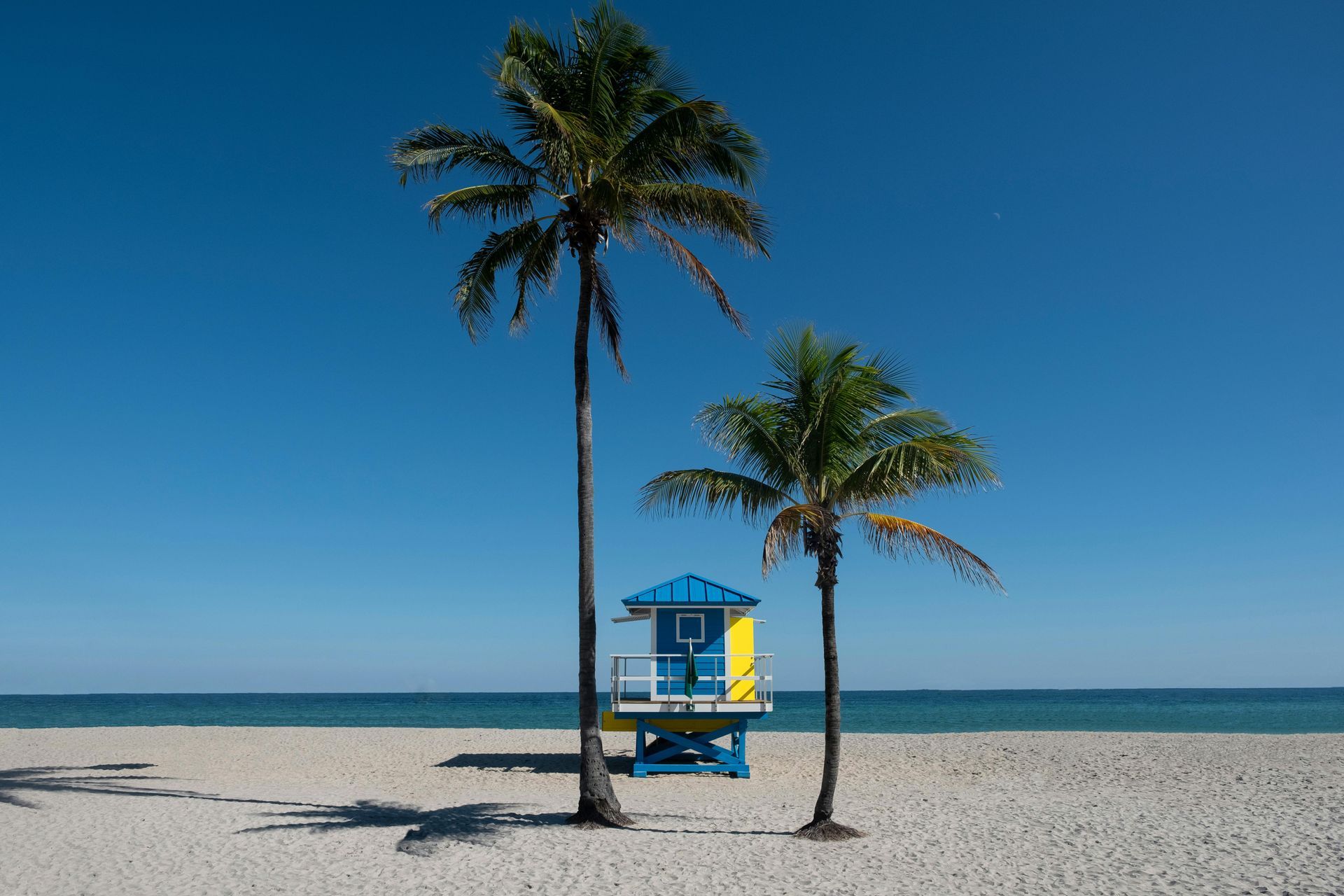 Beach scene: blue and yellow lifeguard stand between palm trees, sandy beach, blue sky and ocean.
