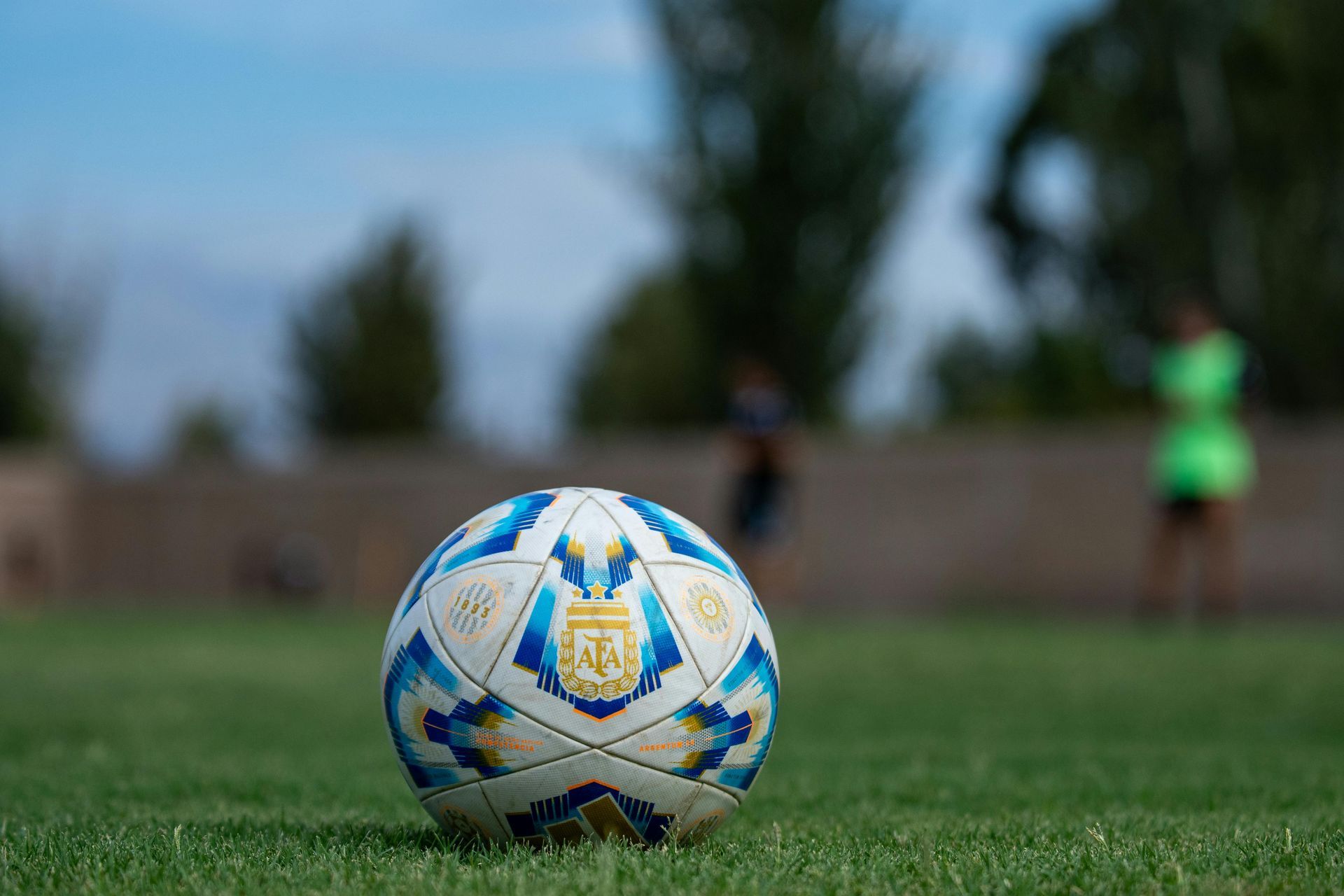 Soccer ball on green grass with two people in the background, under a blue sky.