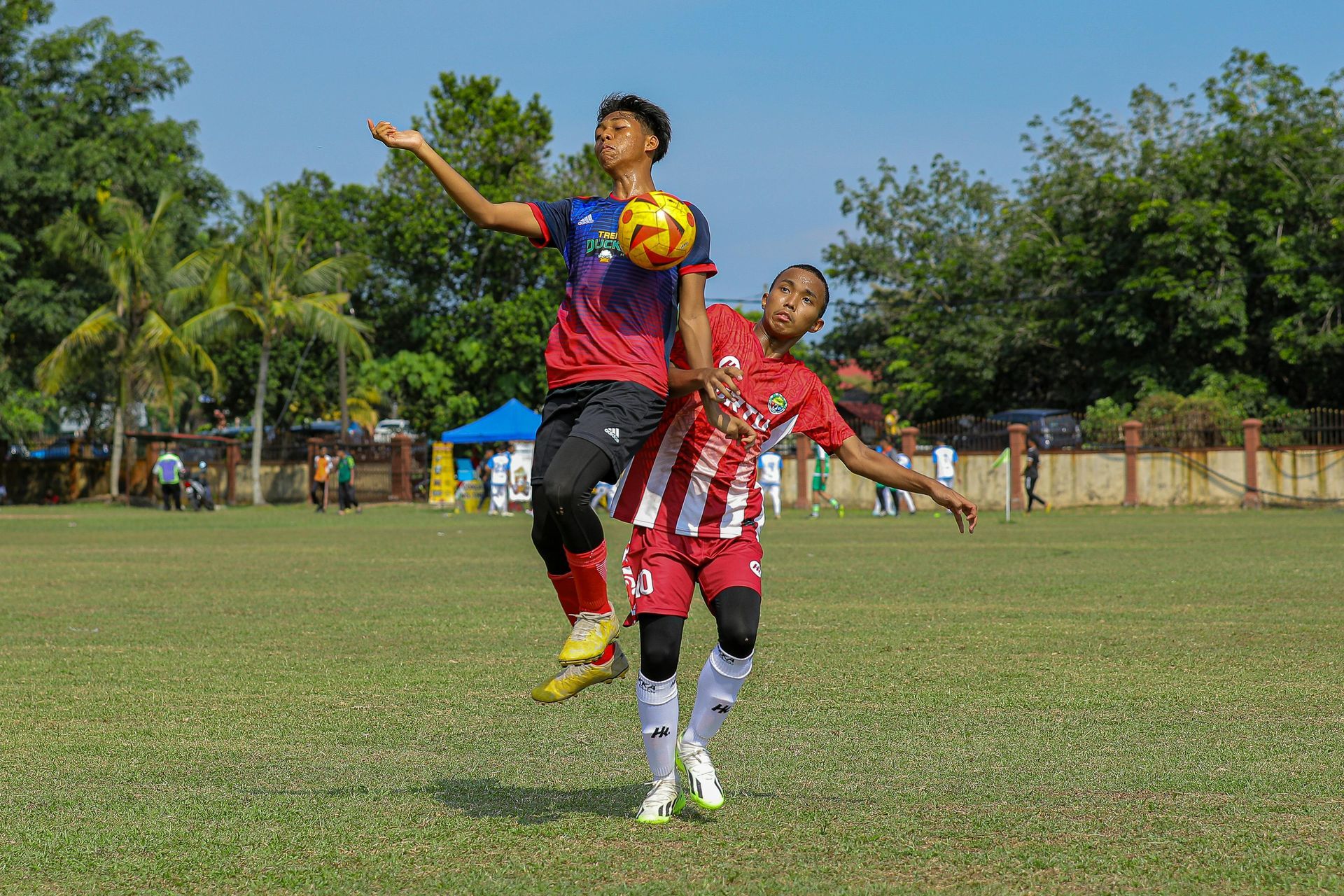 Two soccer players airborne, one with ball, on green field.