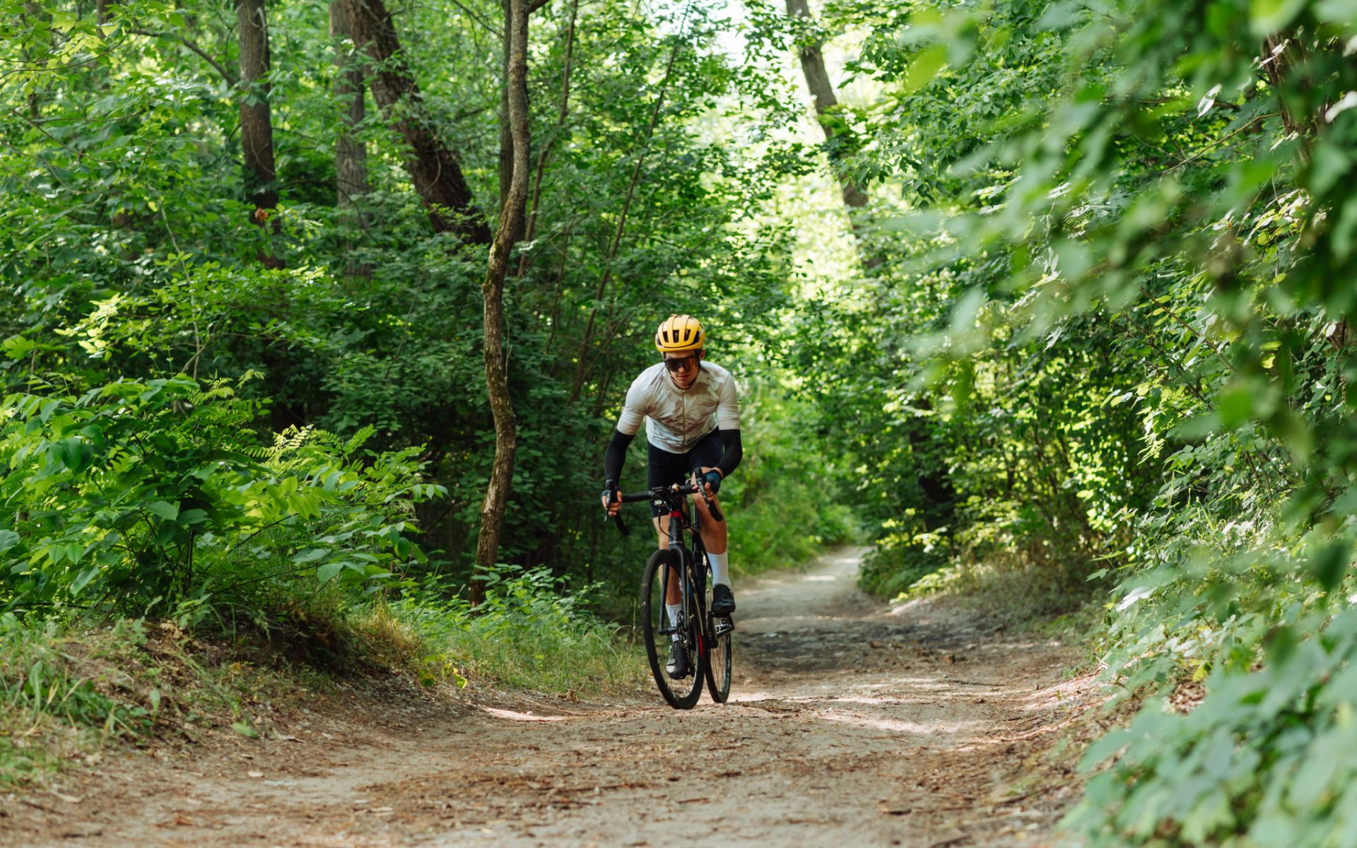 Cyclist riding a mountain bike on a dirt trail through a green forest