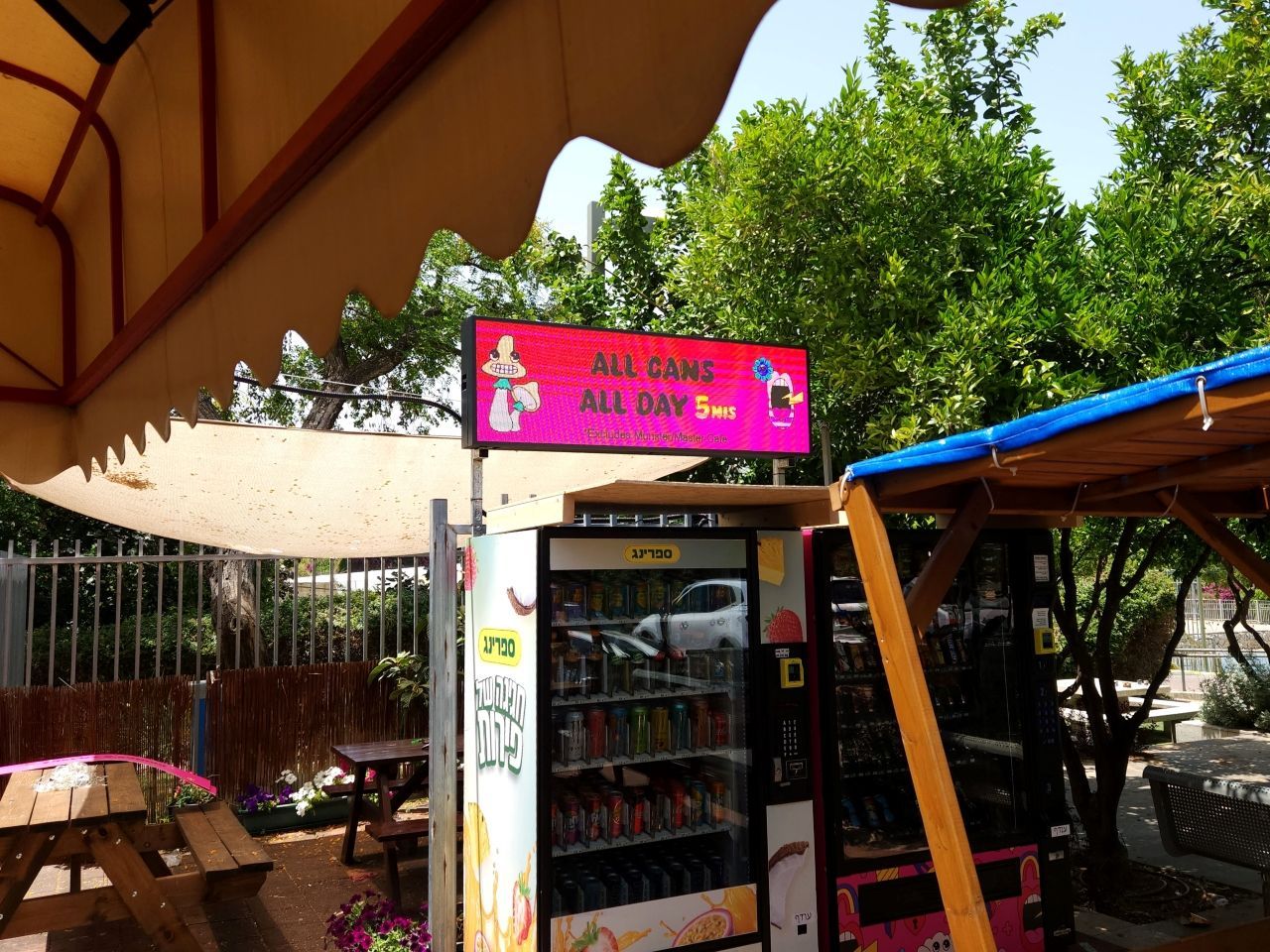 מסכי לד