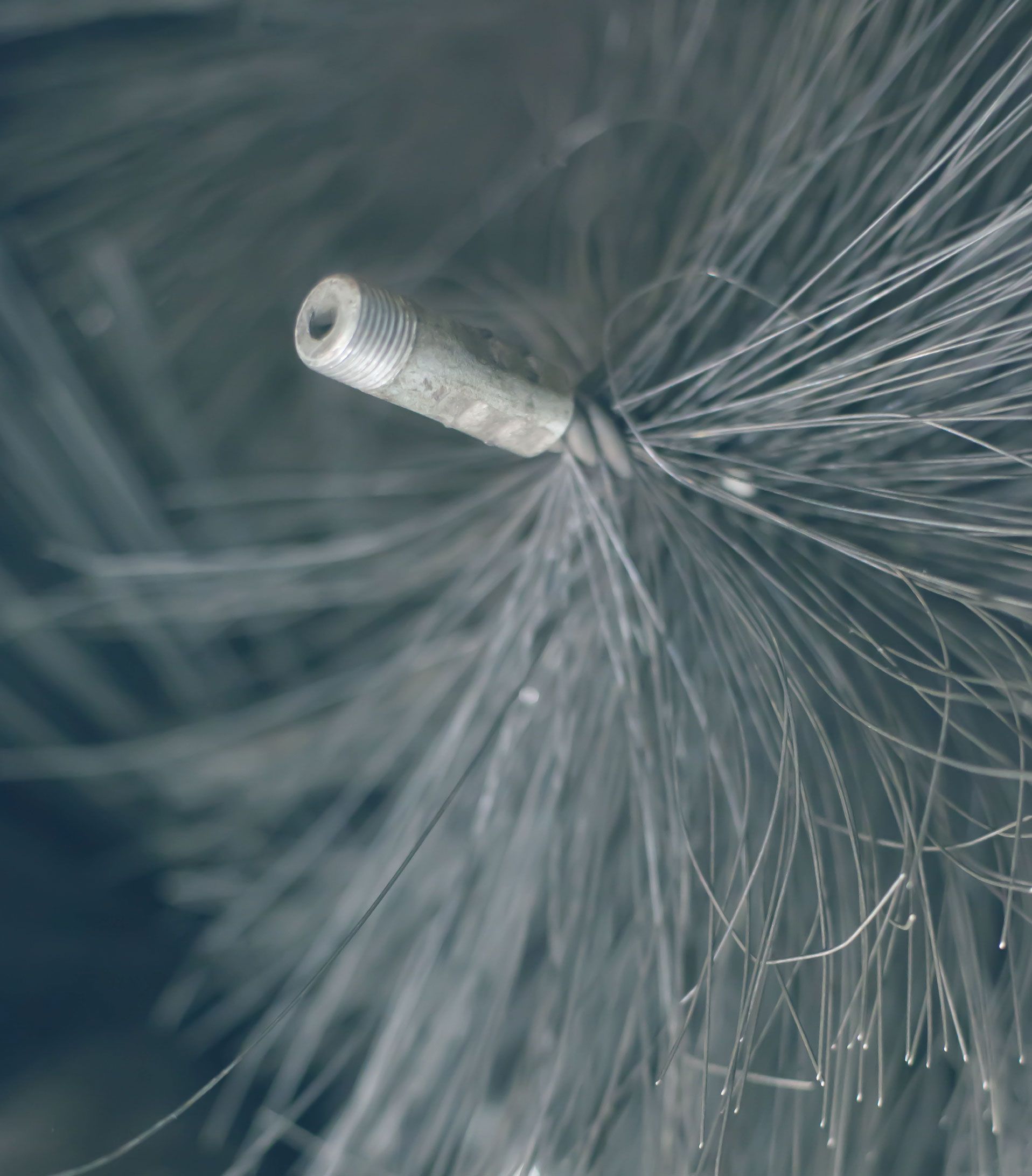 A close up of a dandelion seed with a hole in the middle