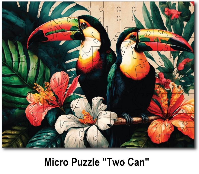 Micro Starz Puzzle