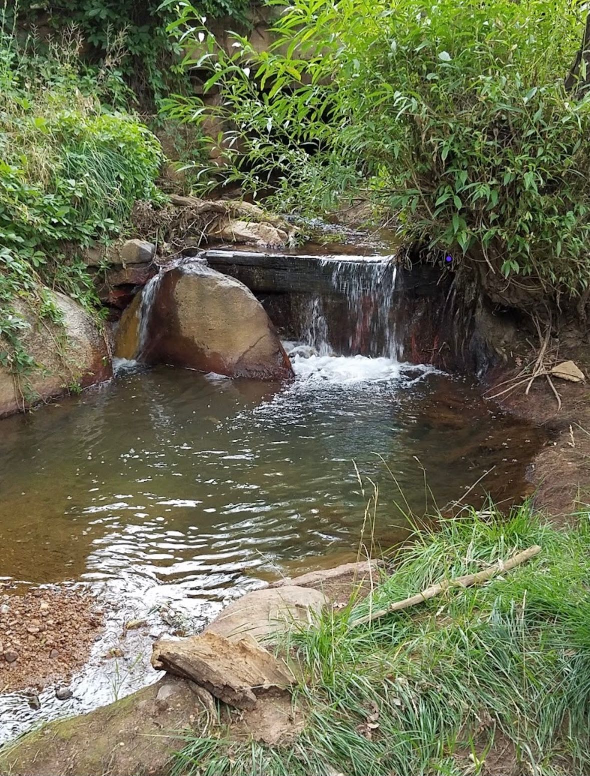 Small waterfall flowing into a calm pool in a wooded area.