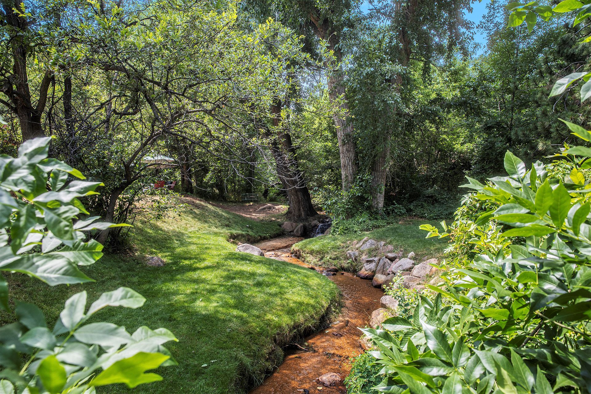 grassy banks of a creek