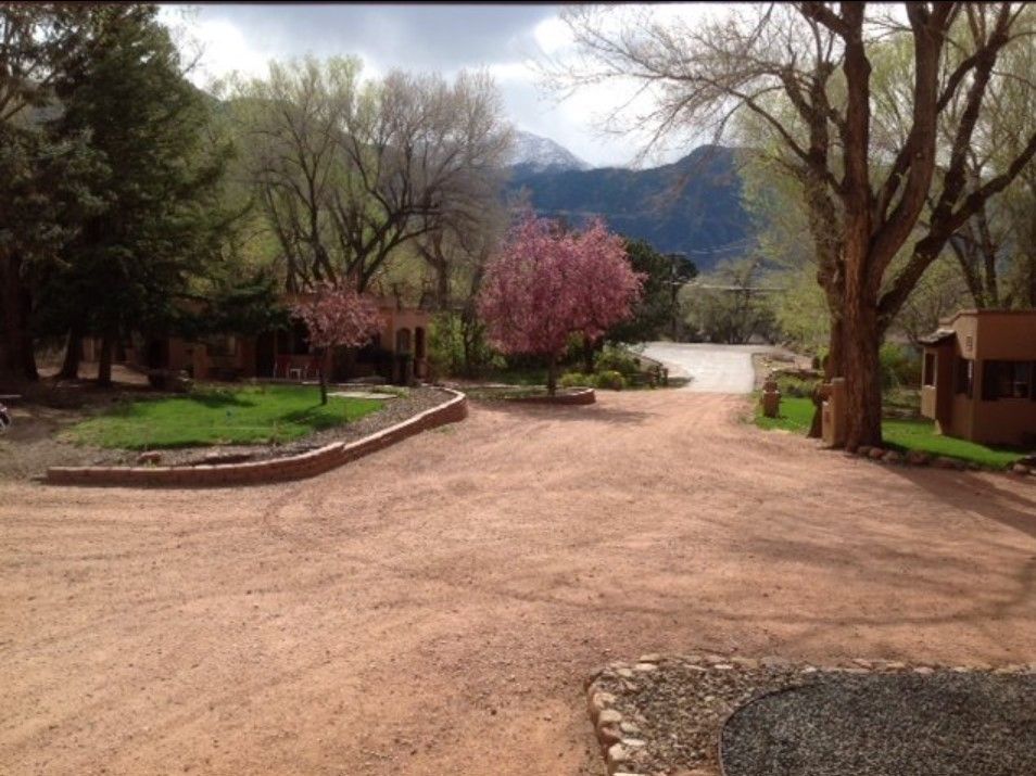 A driveway with trees and mountains in the background