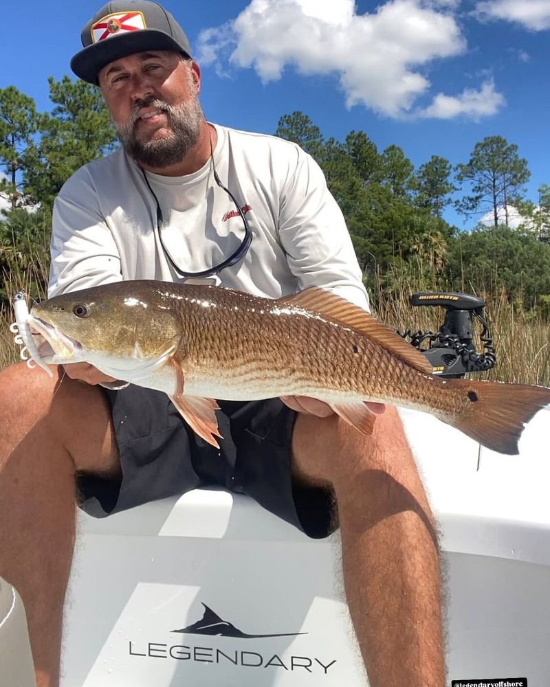 An angler holding a redfish on the bow of a Legendary skiff