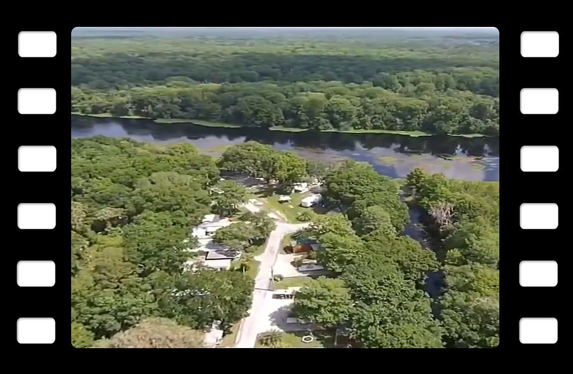 an aerial view of a river surrounded by trees in a film strip .