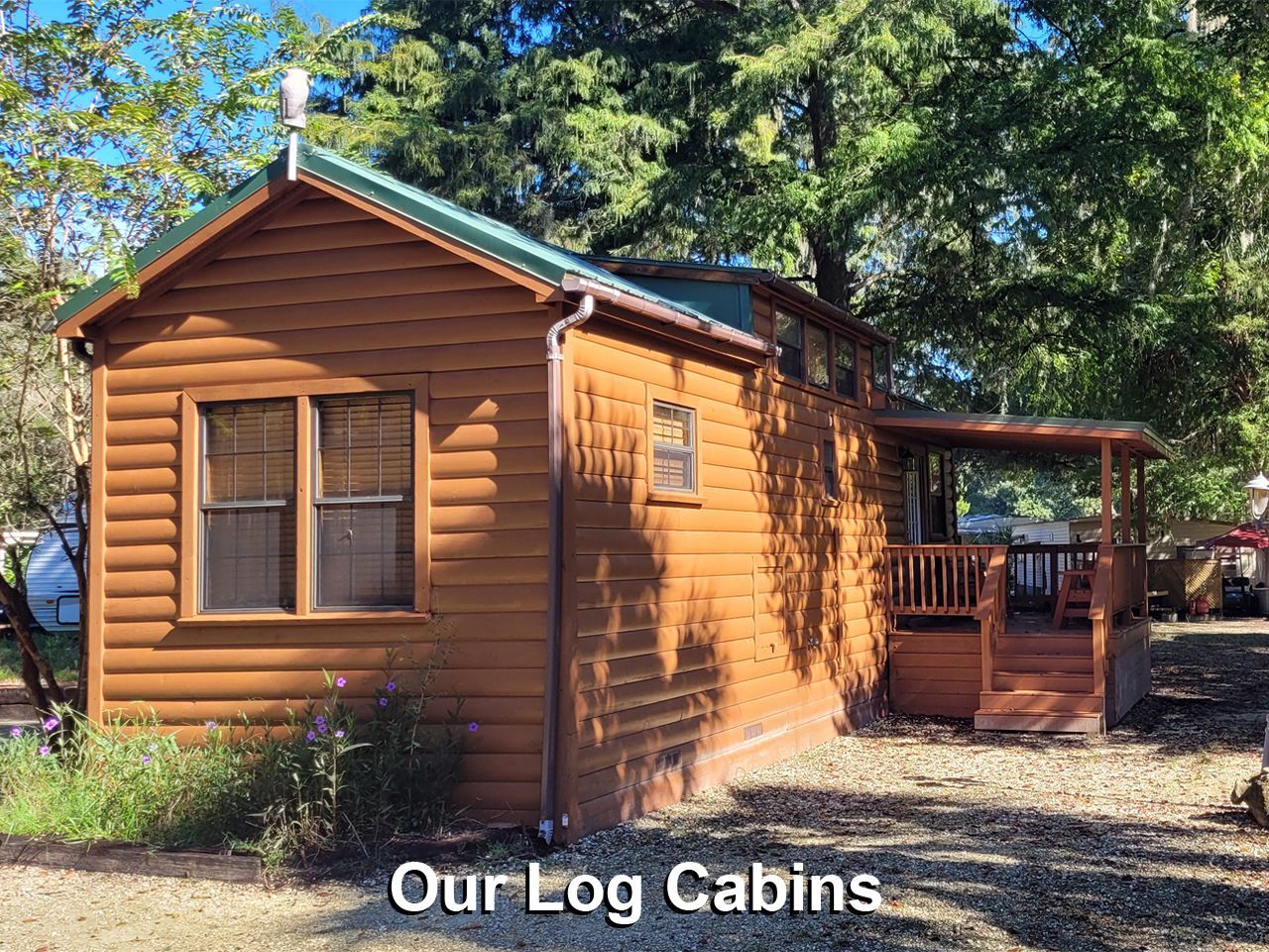 a small log cabin with a green roof is surrounded by trees .