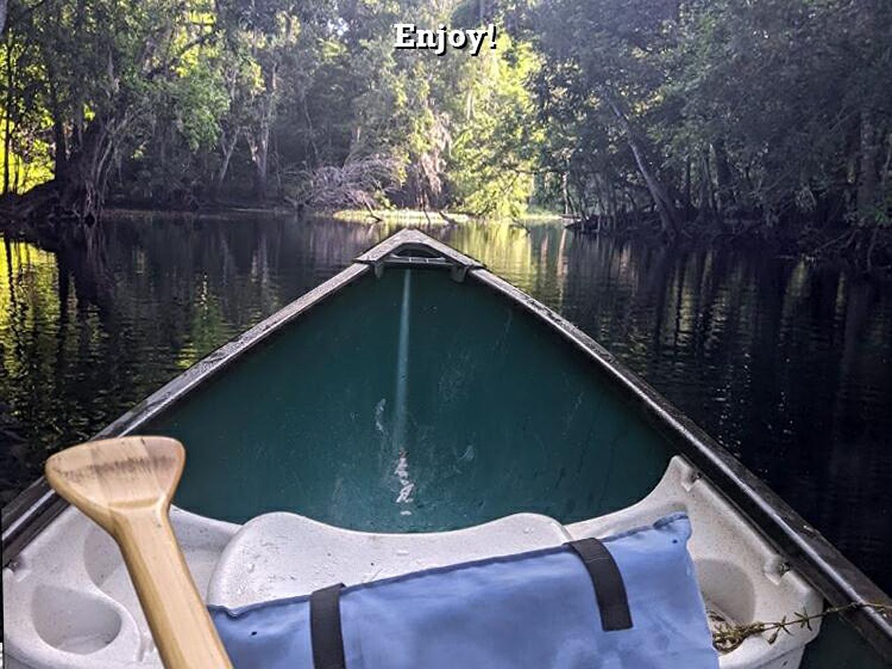 a canoe is floating on a river with trees in the background .