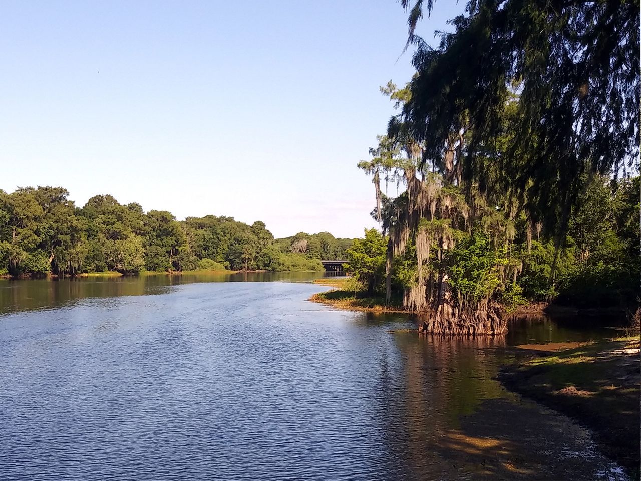 a large body of water surrounded by trees on a sunny day