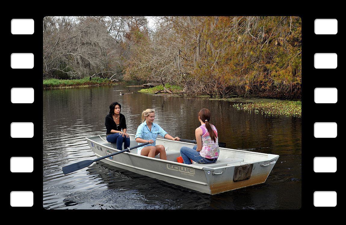 a group of people are rowing a boat on a river .