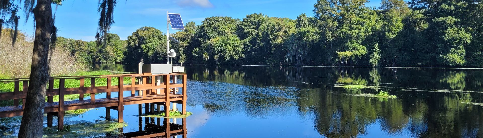 there is a wooden dock in the middle of a lake surrounded by trees .