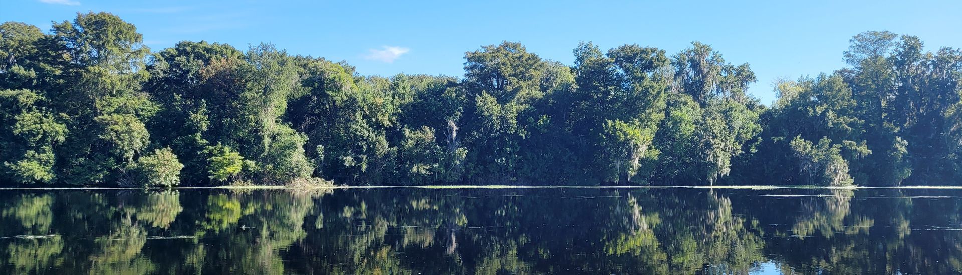 a lake surrounded by trees on a sunny day