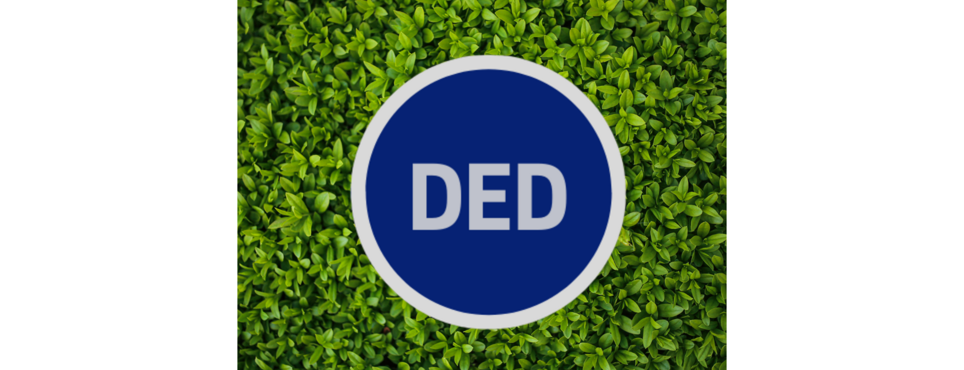 DED SST