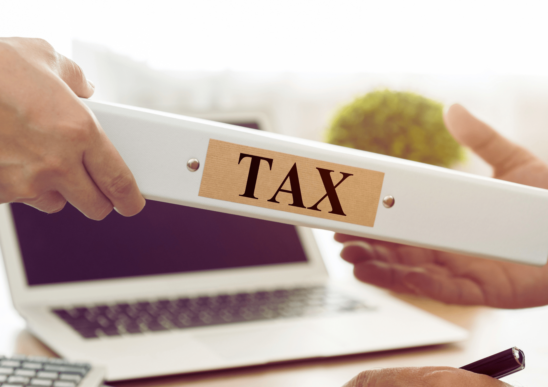 Tax Season